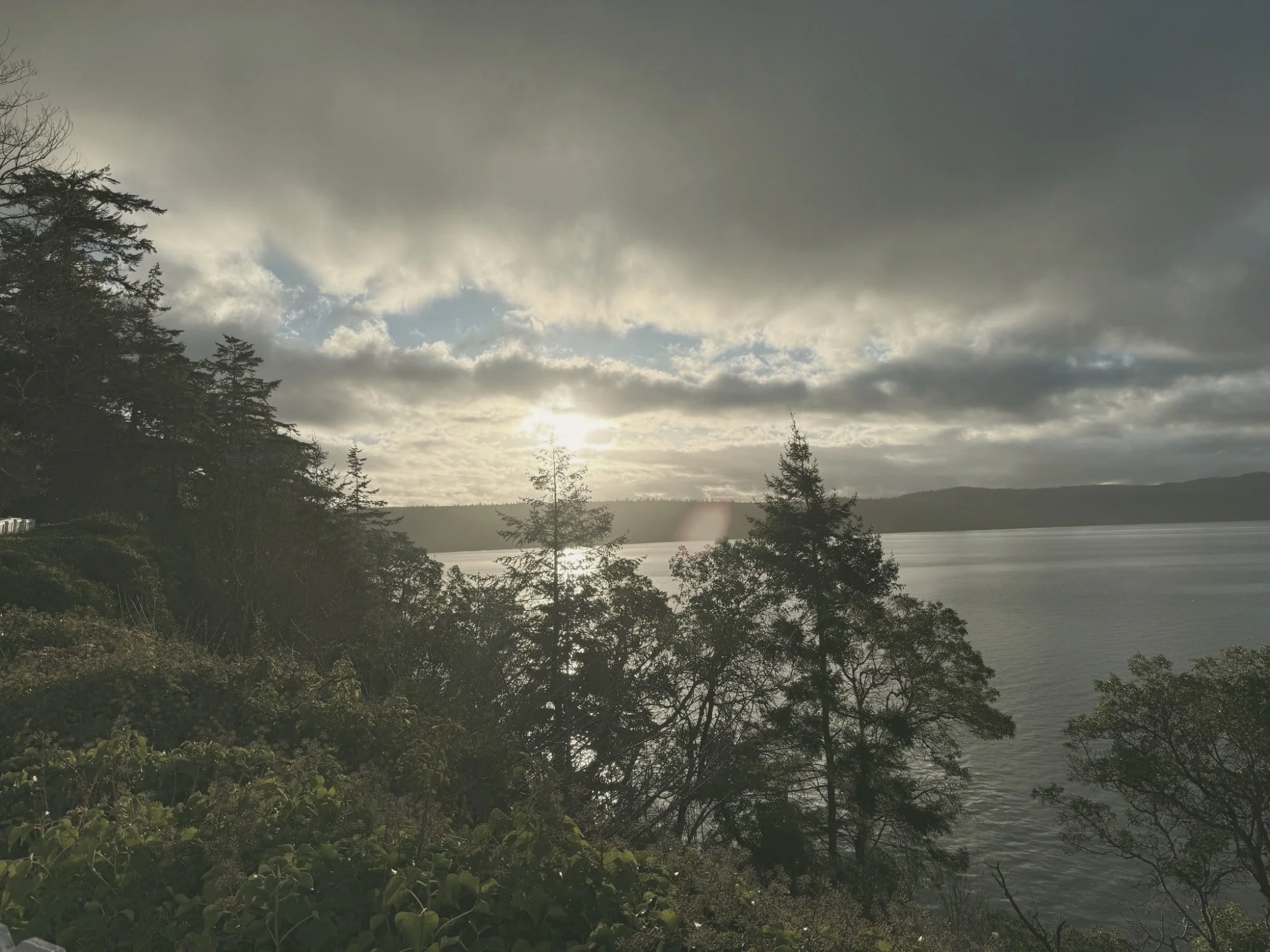 Sun breaking through clouds over evergreens and water