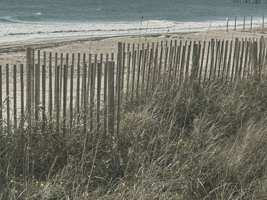Dune fence and beach grass leading to the ocean