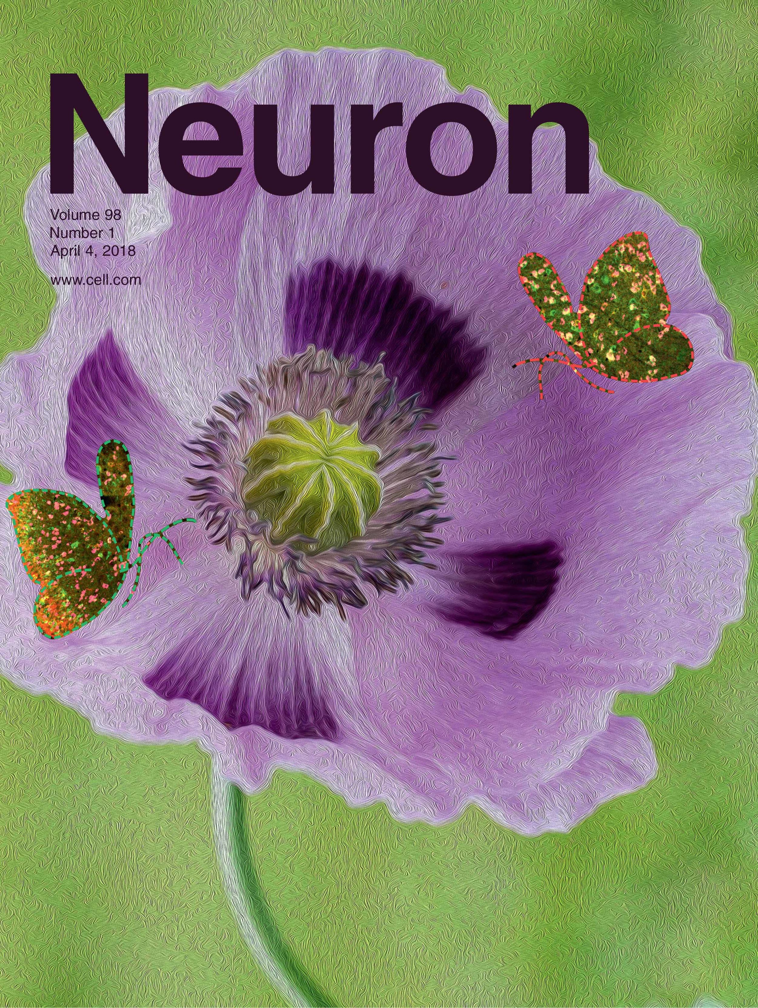 Cover_mod2.jpg