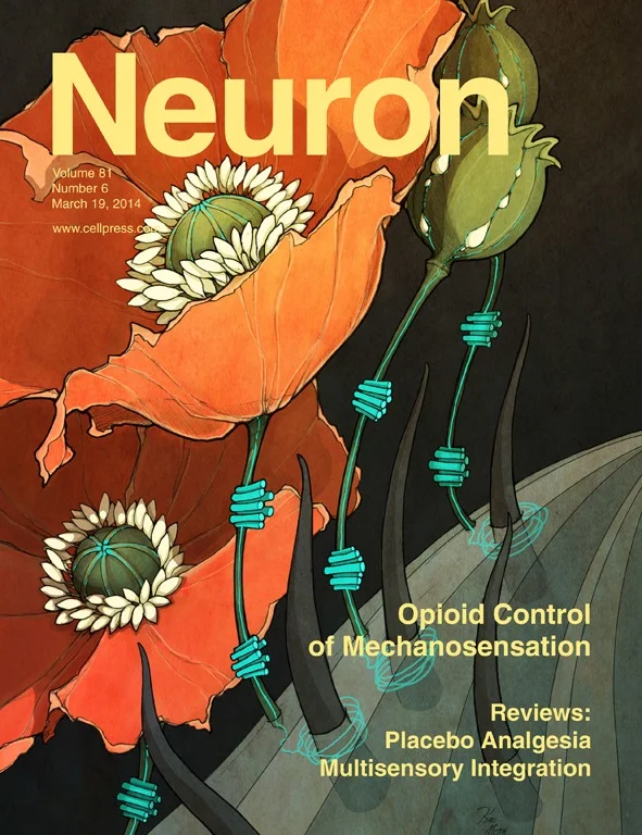 Bardoni_Neuron_2014.jpg