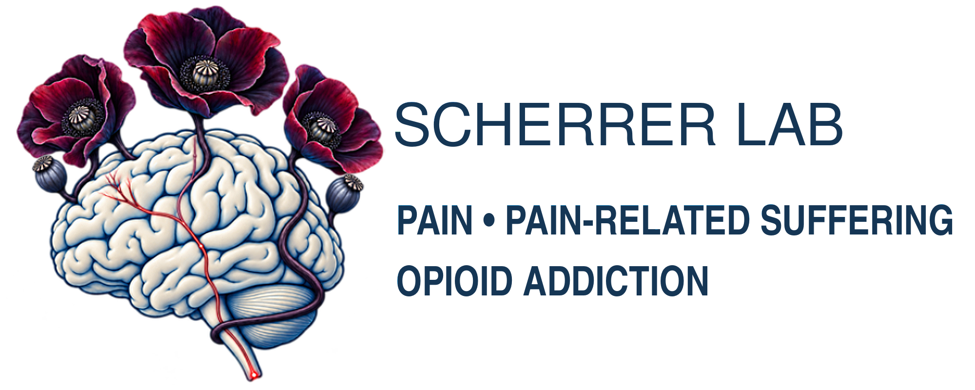 Scherrer Lab