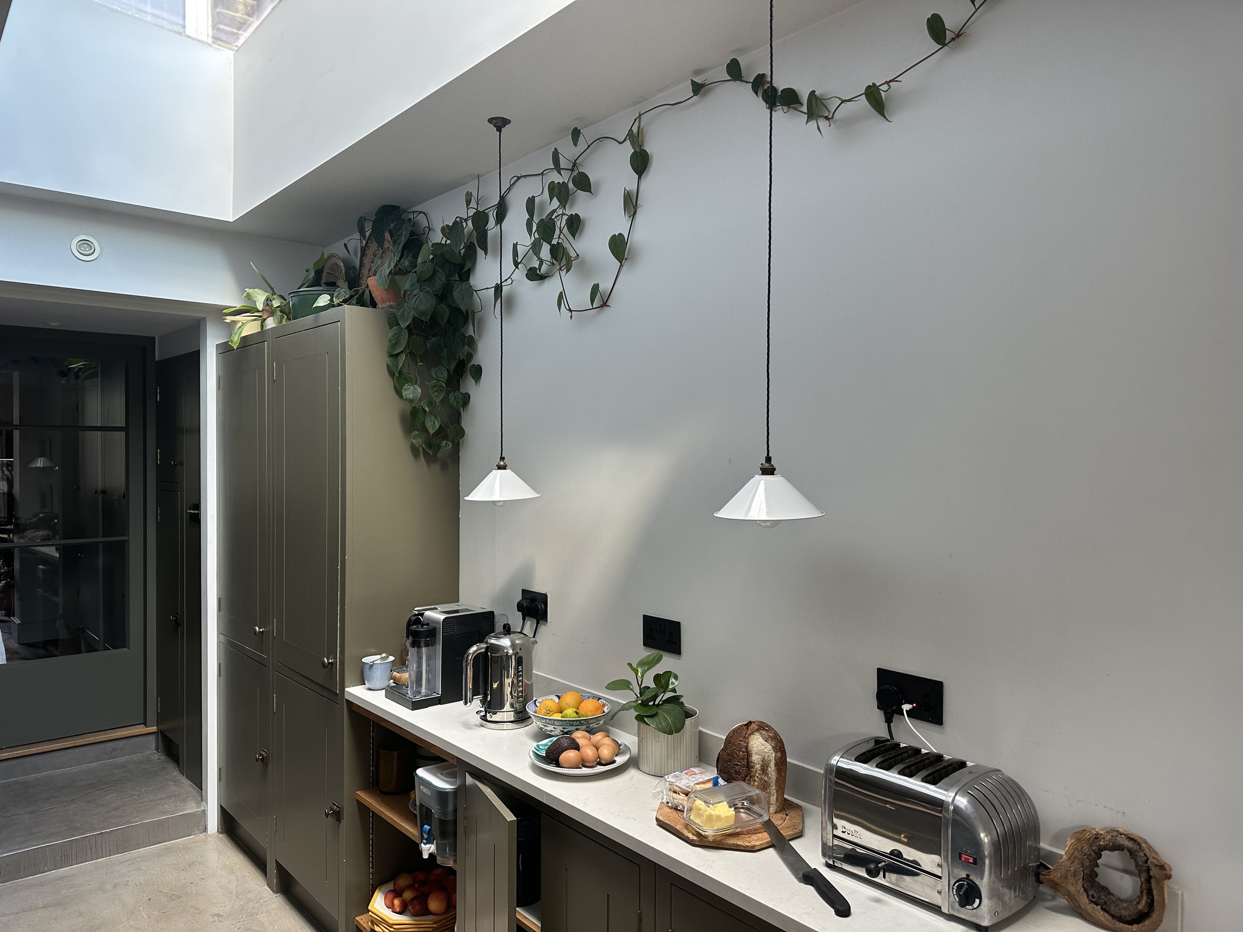 Kitchen countertop with eggs, bread, toaster, and coffee machines. Green cabinet, potted plant, and hanging lamps with a leafy vine on the wall above.