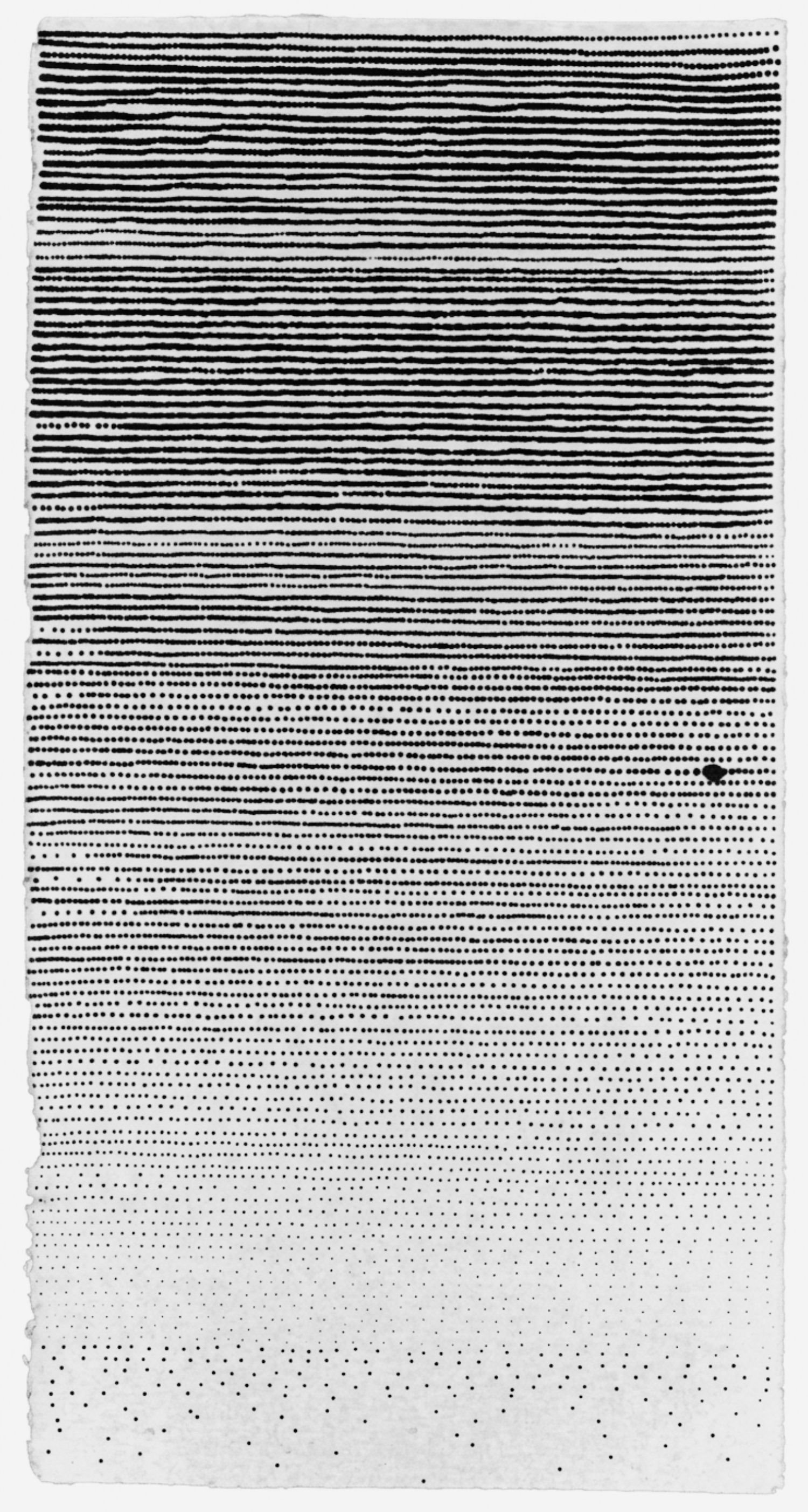 Untitled design.jpg