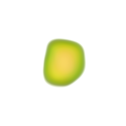 seed0047 copy.png