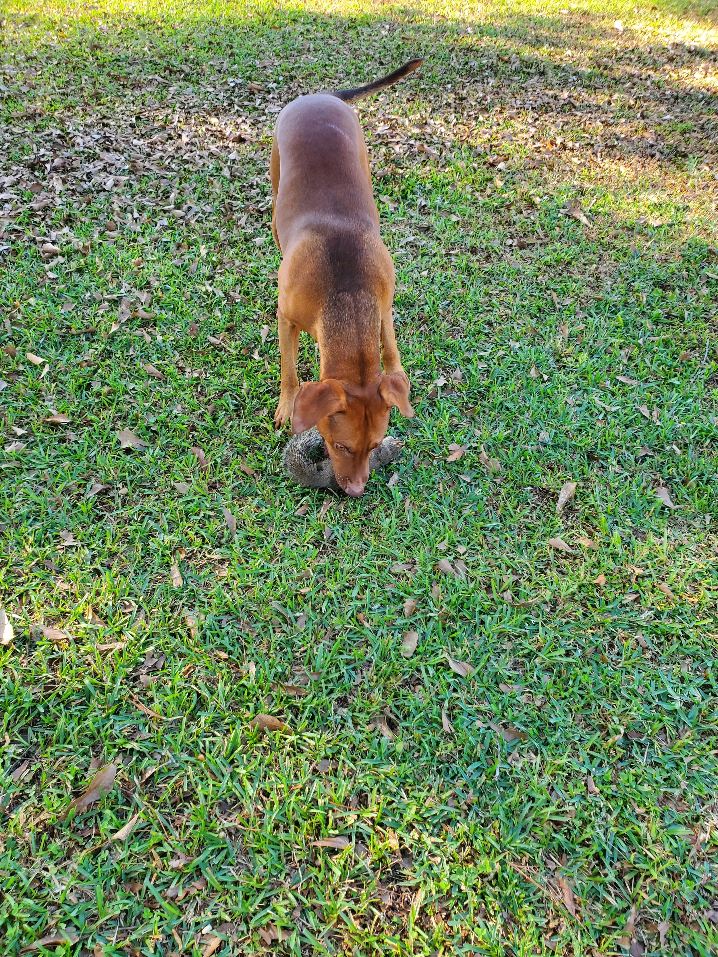20201104_145403 (1).jpg