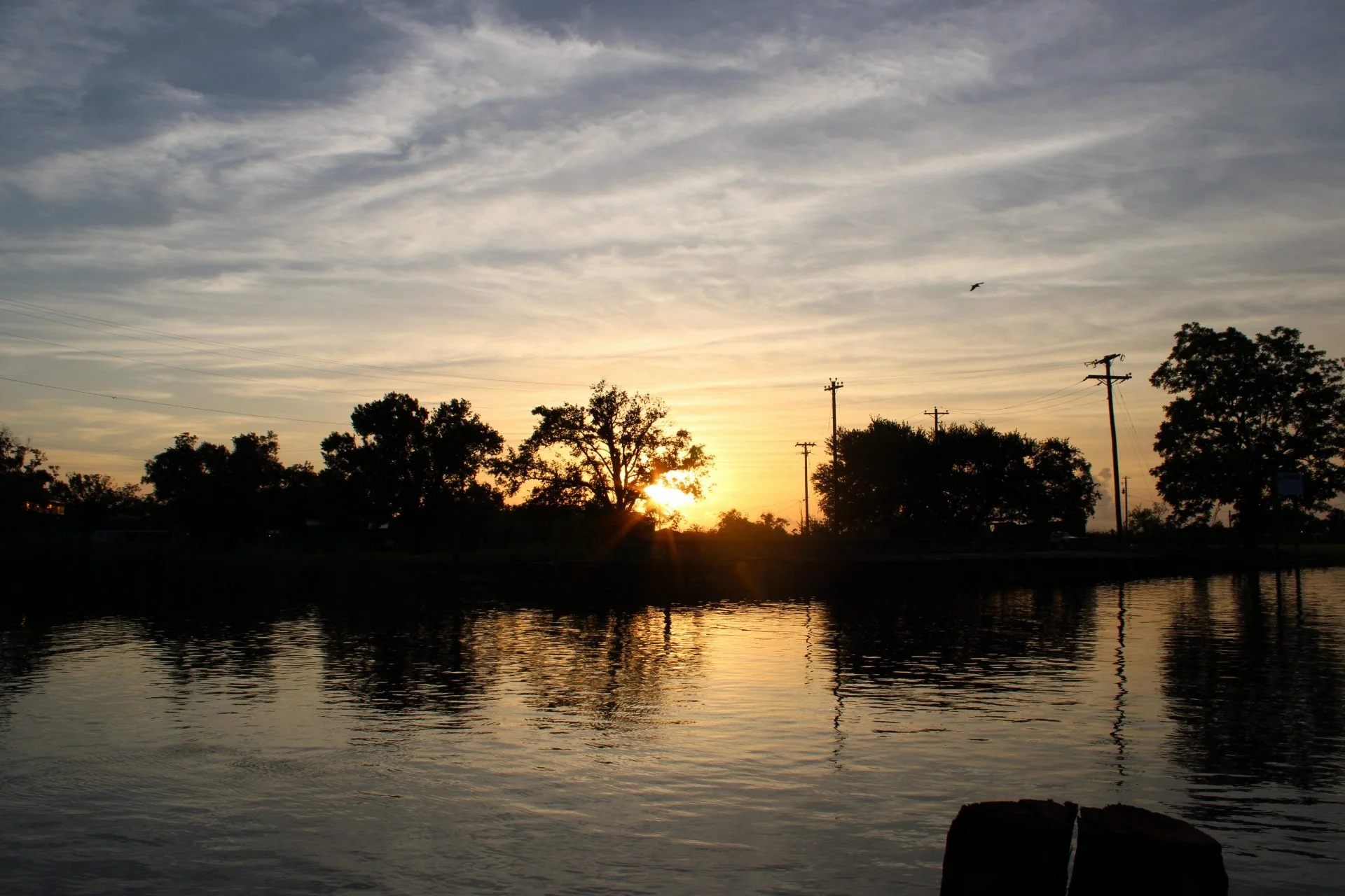 IMG_2100.JPG