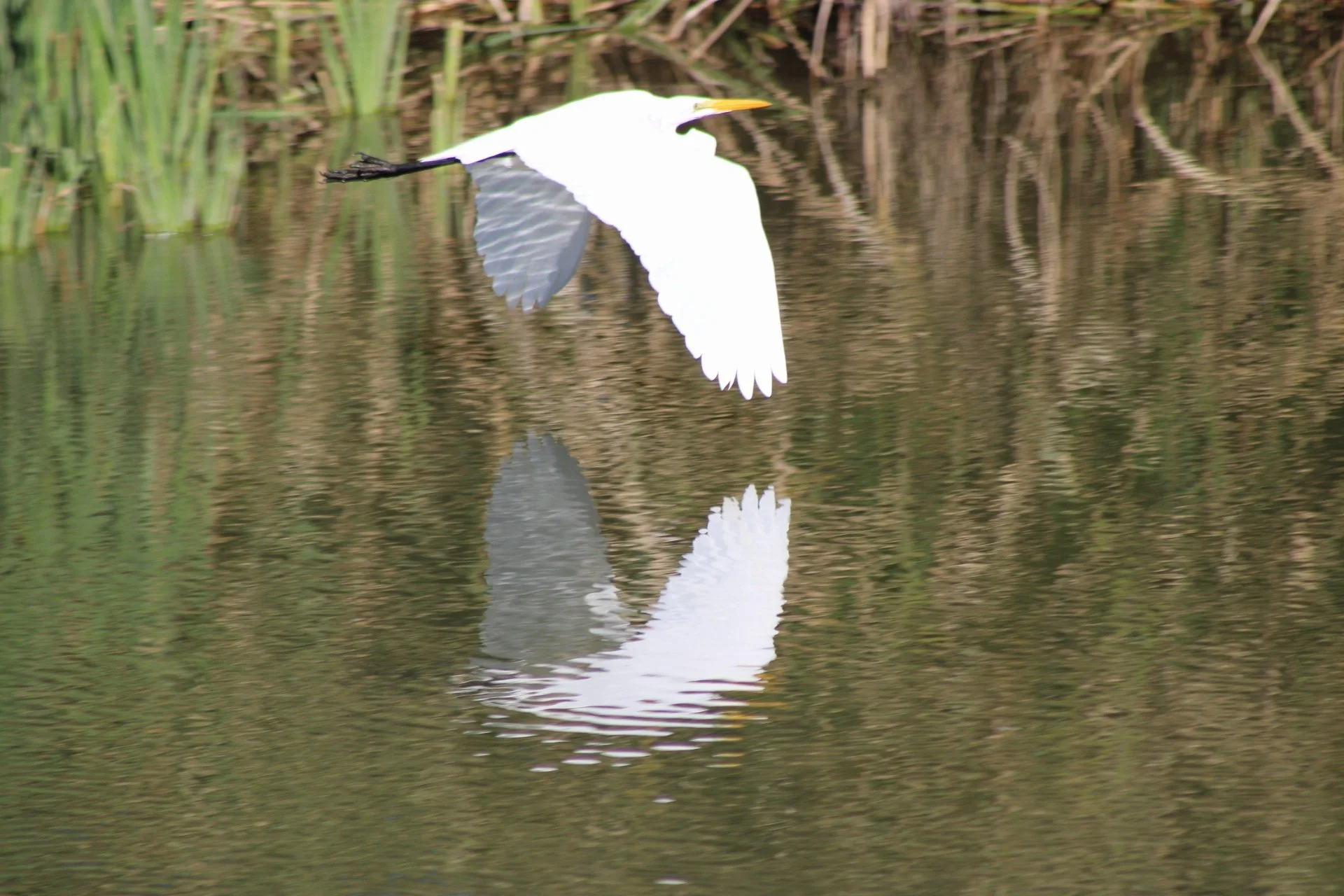 IMG_8829.JPG