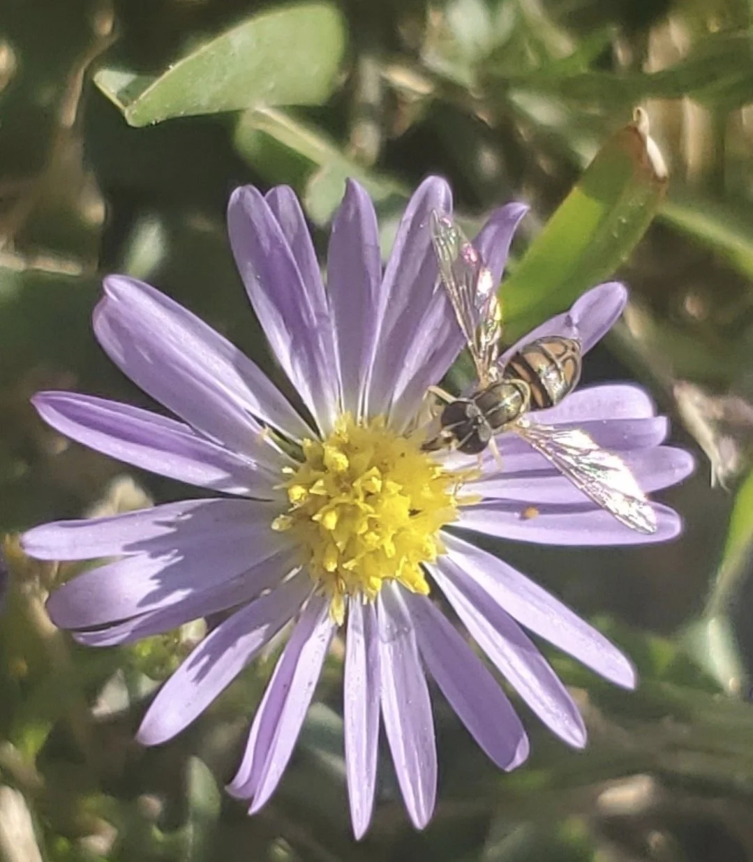 ae505a37-ea6b-41e6-87c5-ca1e6c791aa1_20260720_120255_0000.jpg