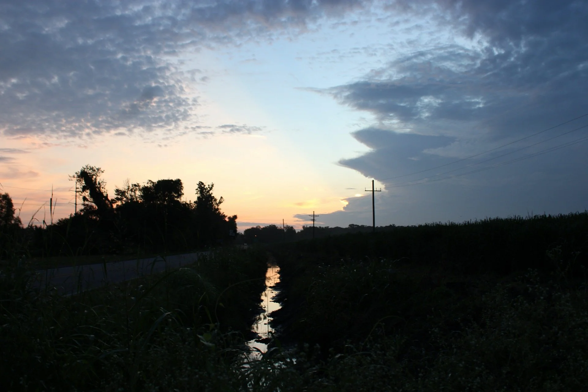 IMG_5216.JPG