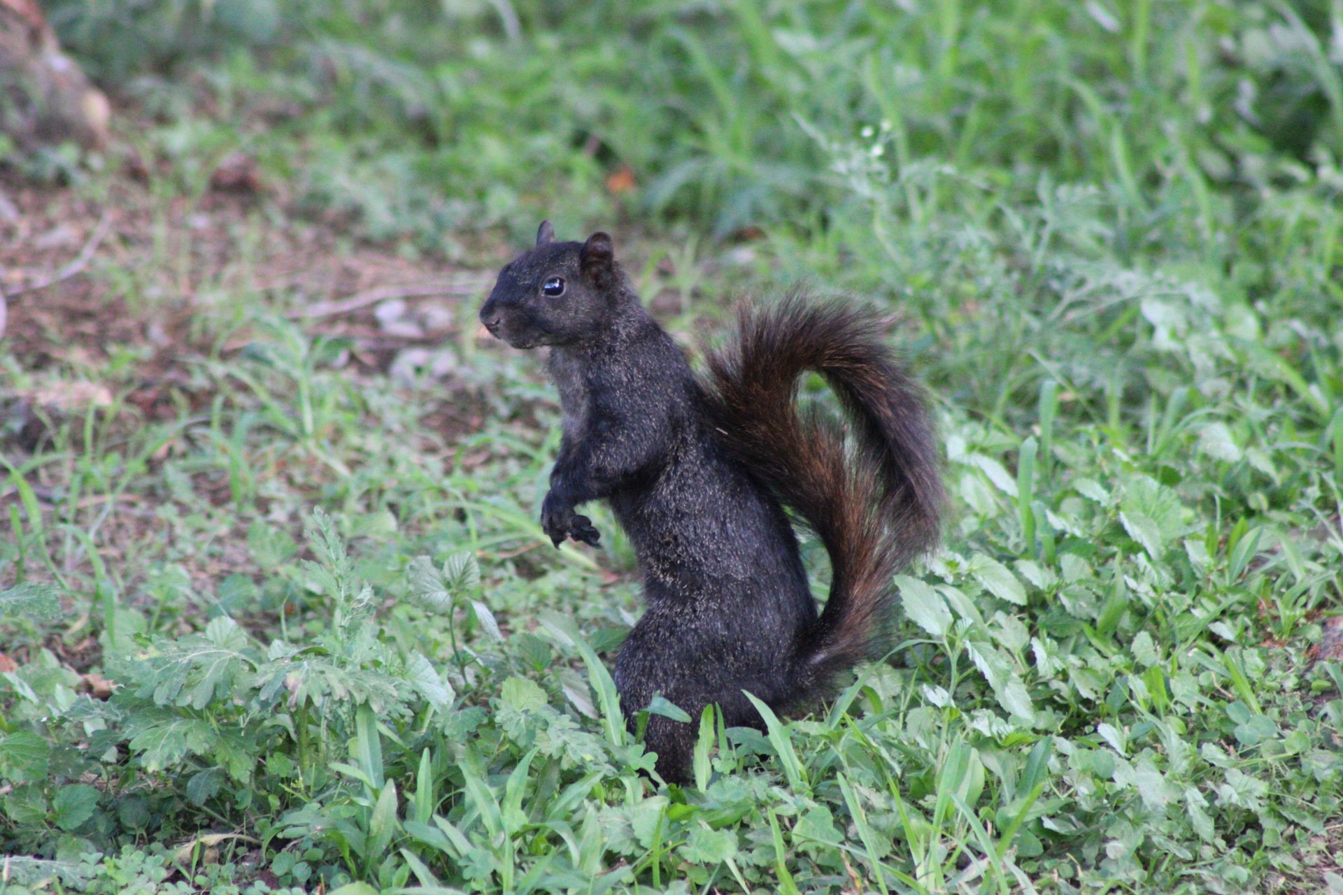 IMG_5707.JPG