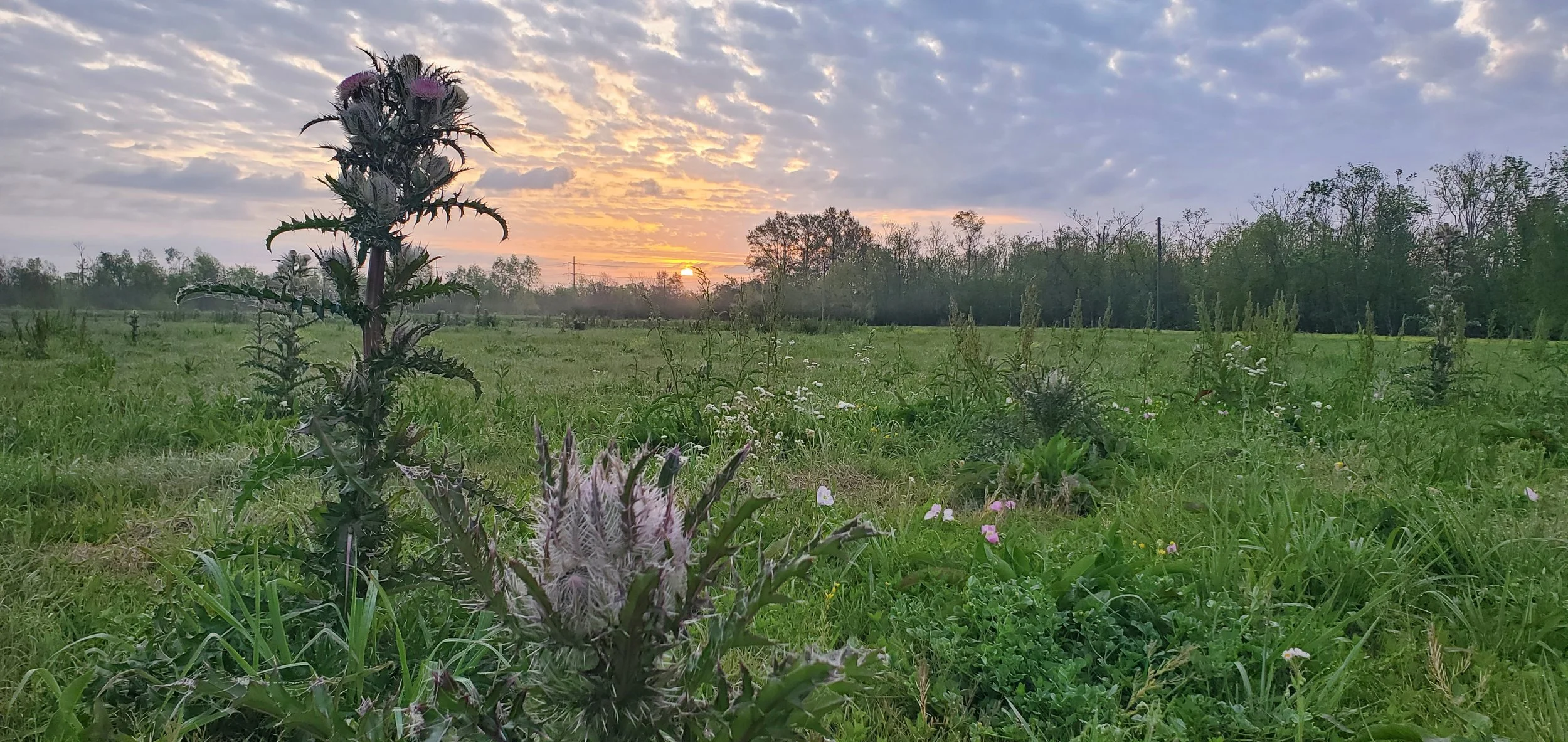 Sunrises in all shades and sizes 
