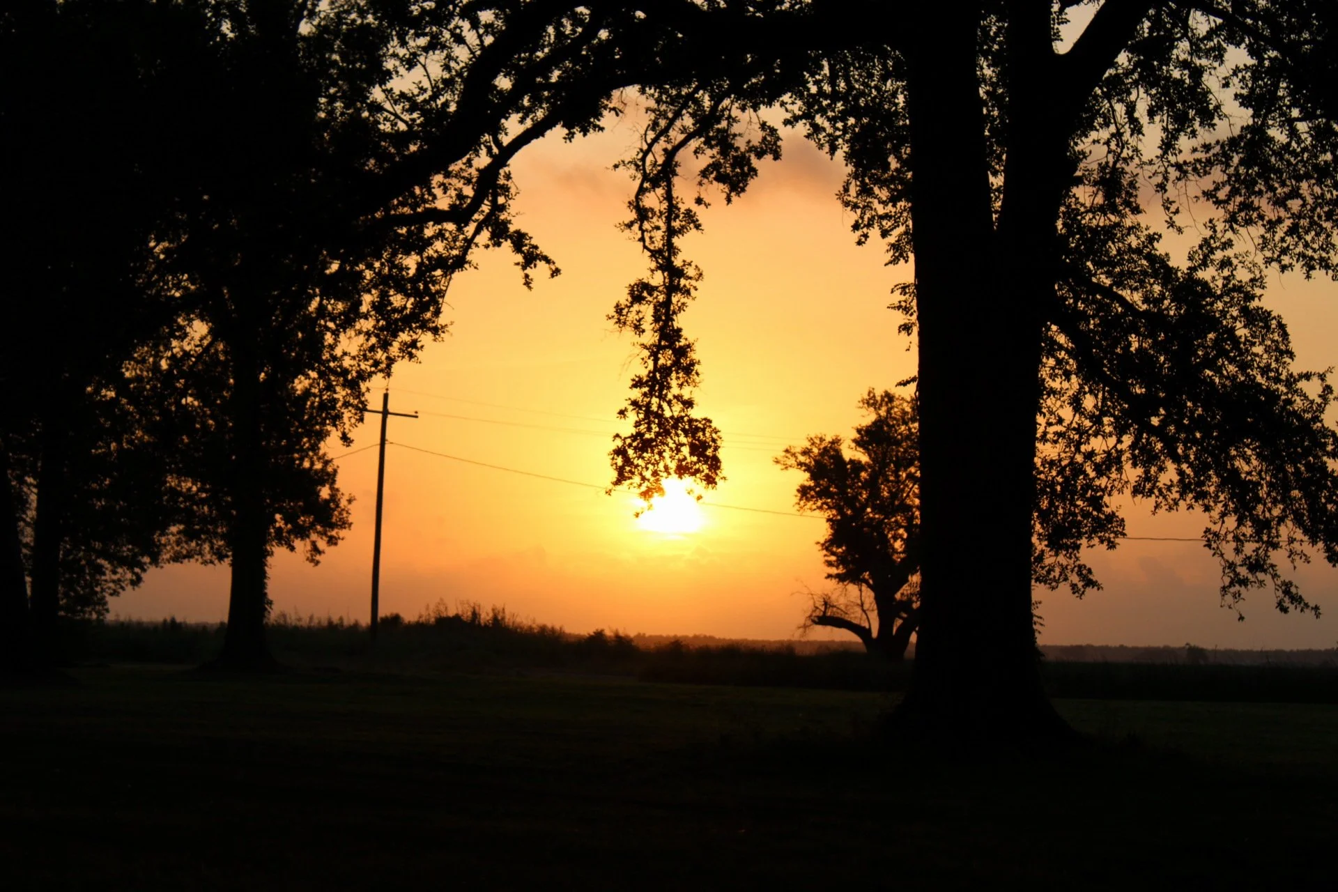 IMG_1626.JPG