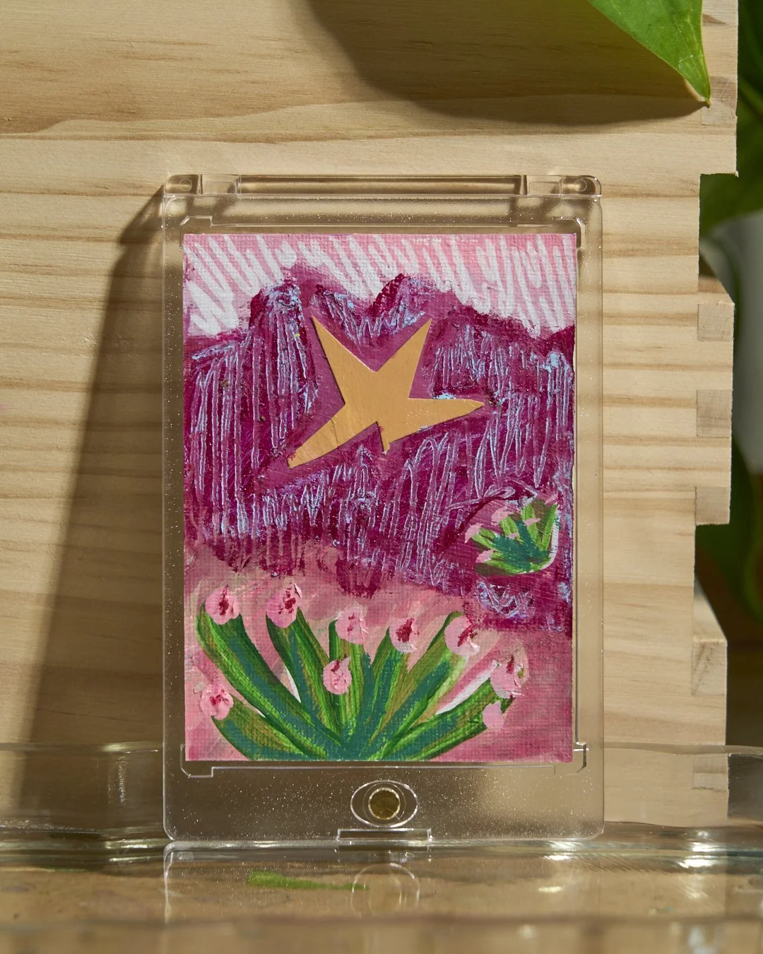 Succulent Sunset 2