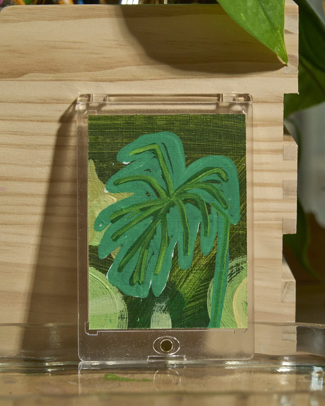 Monstera