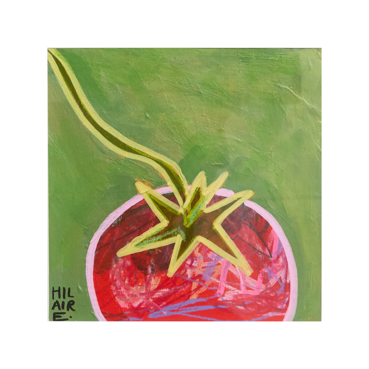 Beefsteak Tomato