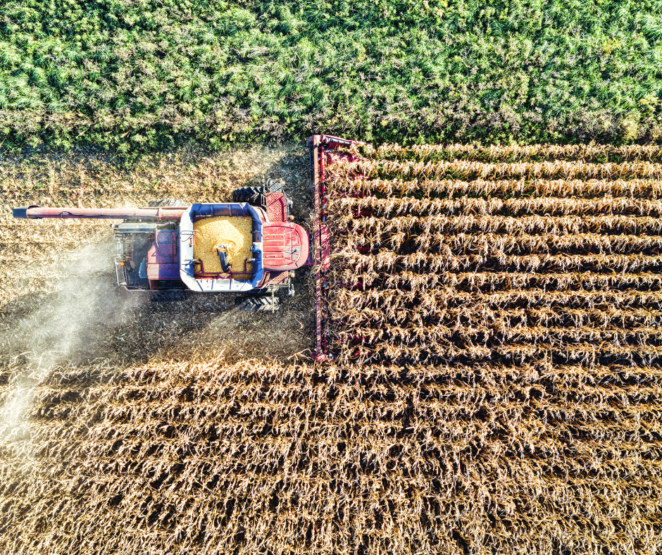 Combine in the field