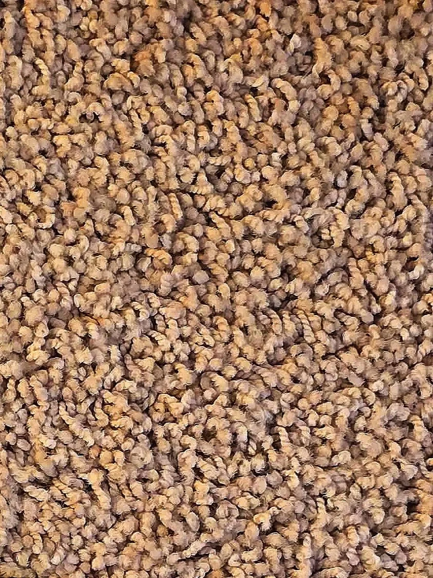 5613. 423 
Taupe Trackless 
100 % Nylon with STAINBLOCK 
12x150

$0.72 per sq ft