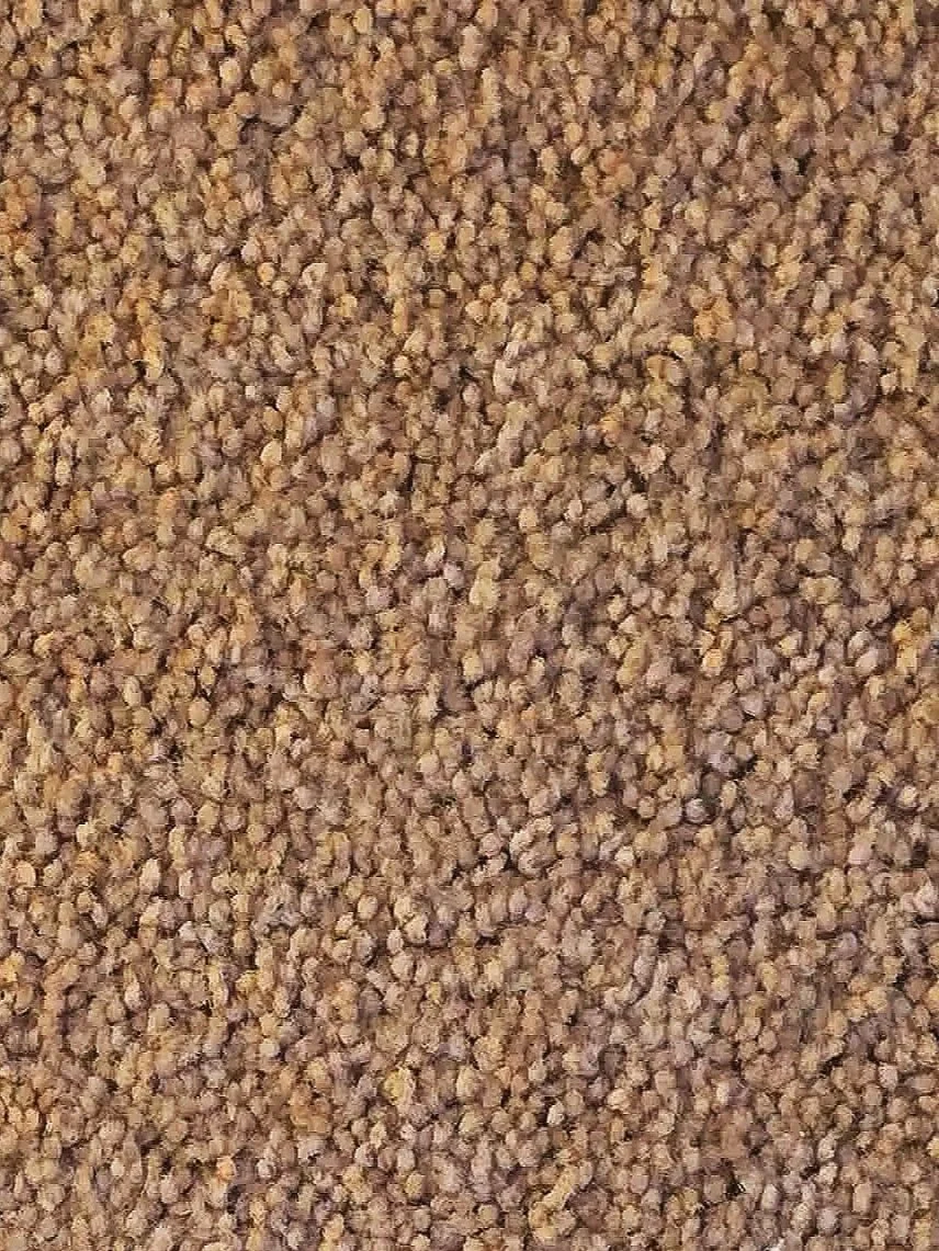 SS- R. Taupe 
100 % STAINMASTER Nylon Trackless
12x153/ 12x 30 

$0.77 per sq ft