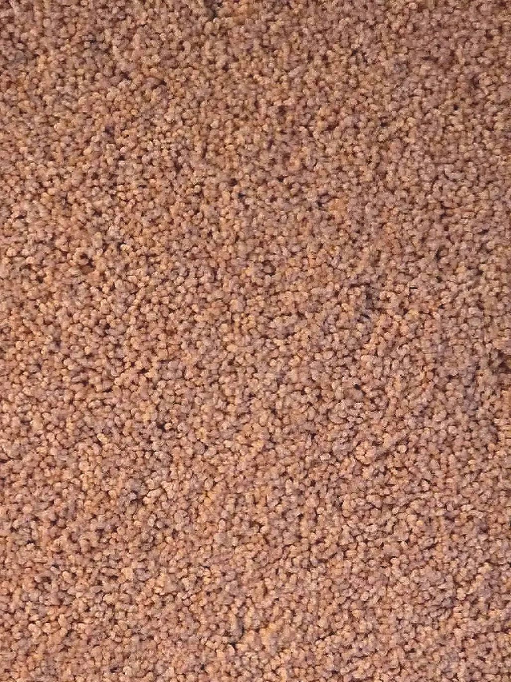 I666/342 
52 oz STAINMASTER Nylon 
12x127/ 12x 101

$0.95 per sq foot