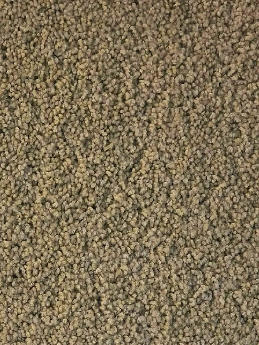 I666/631

52 oz STAINMASTER Nylon 
12x 106 

$0.95 per sq ft