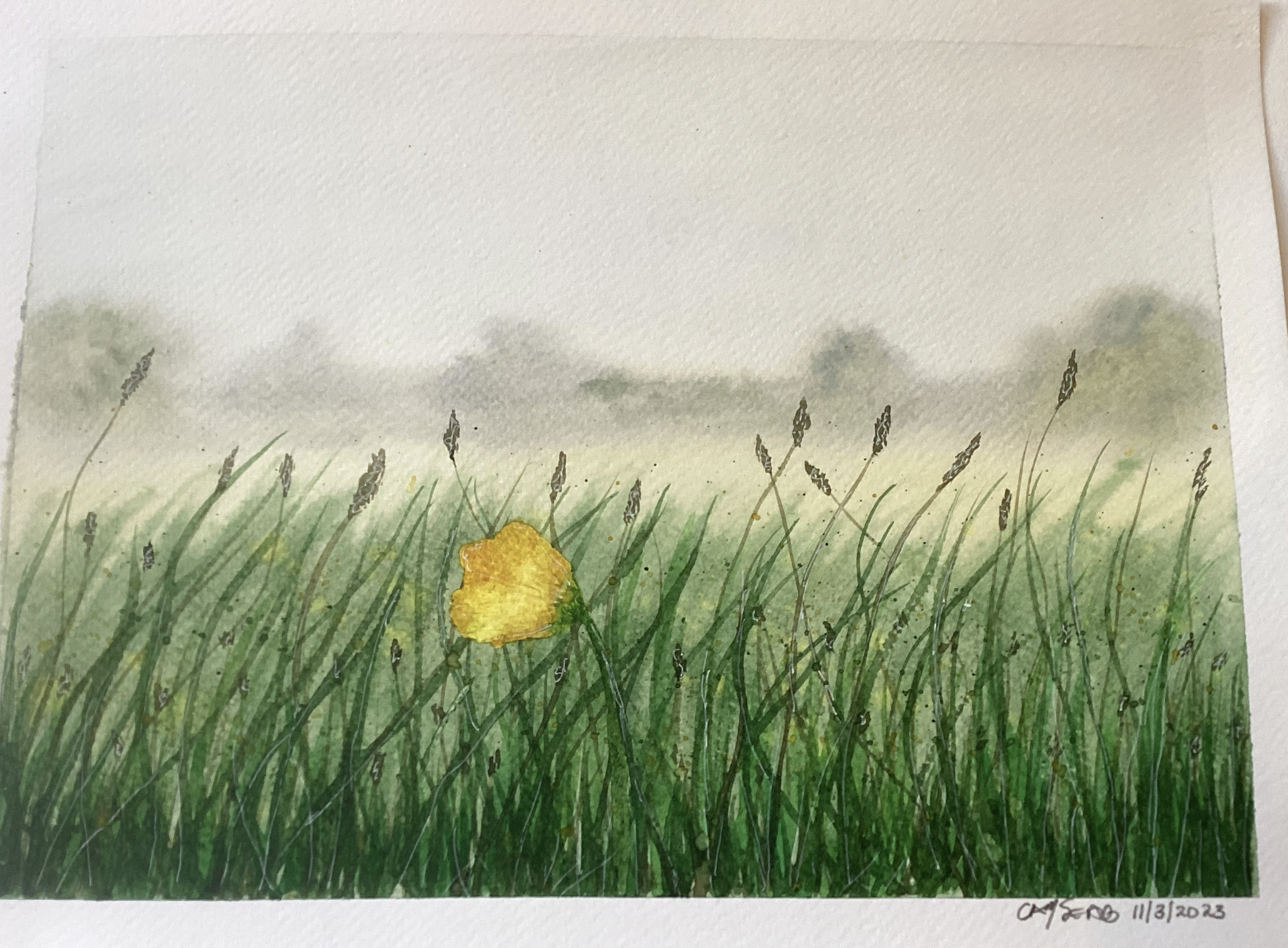 Solo Yellow Flower