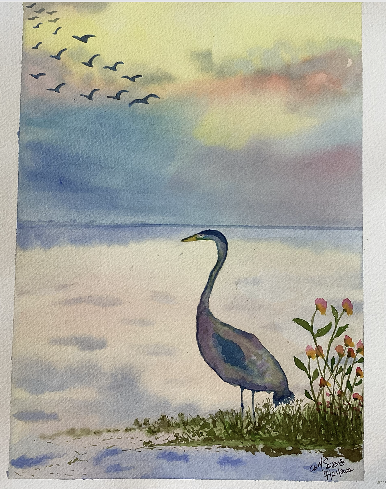 Pastel Swan