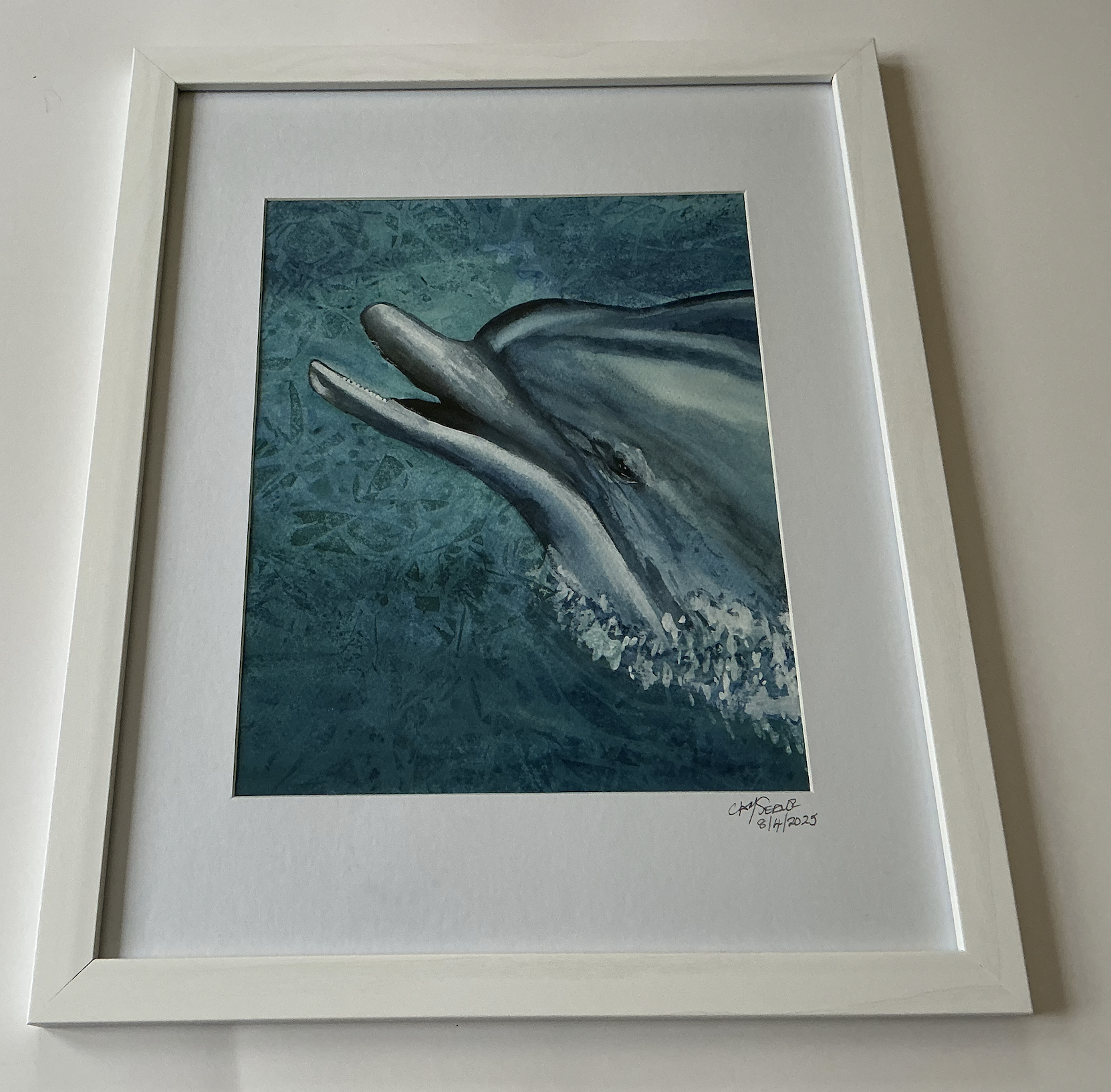 Dolphin
