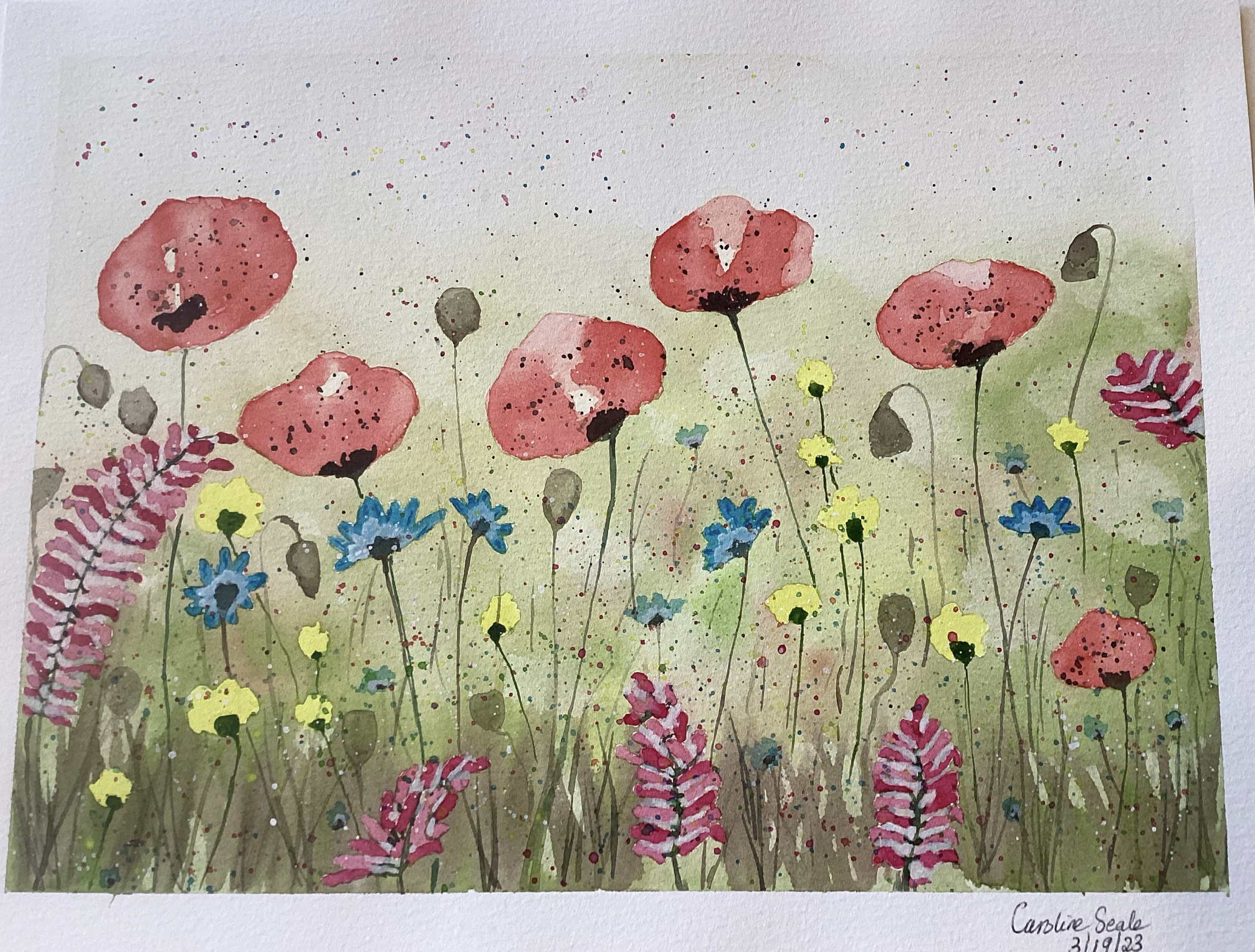 Wildflower Field