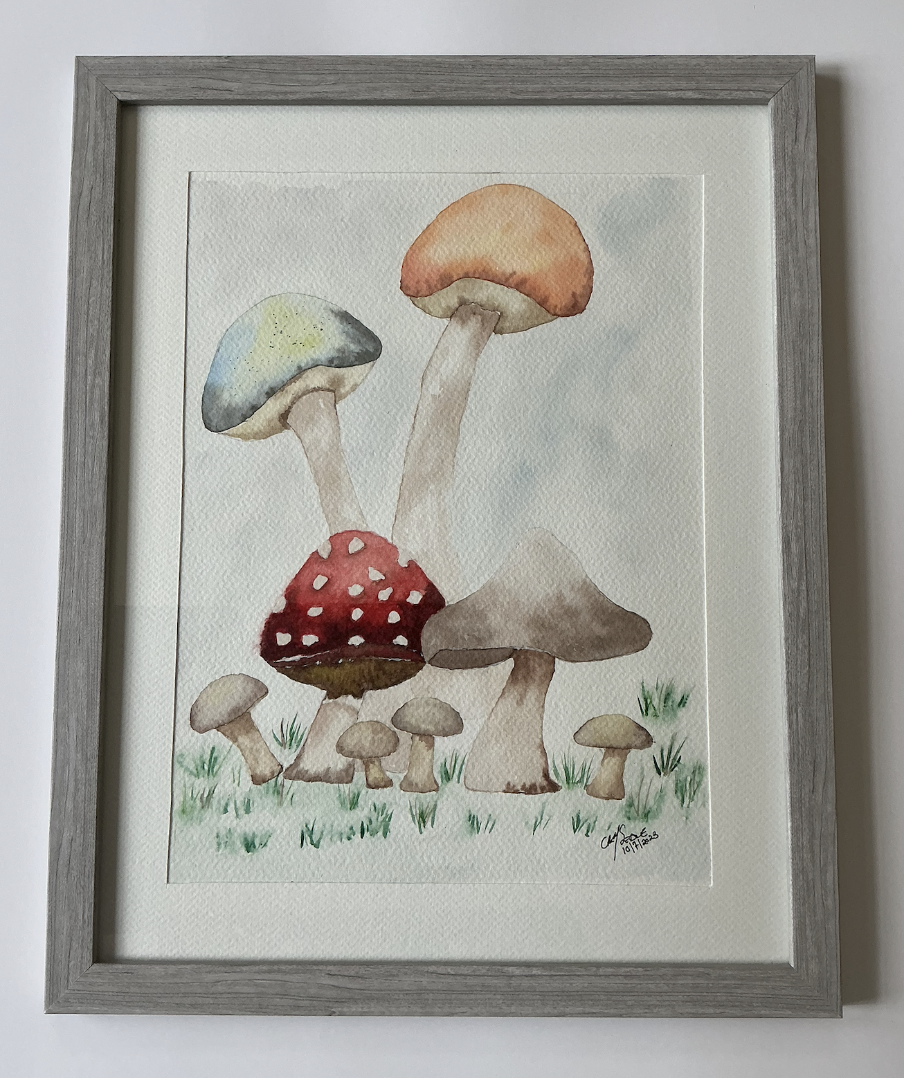 Whimsical Mushrooms