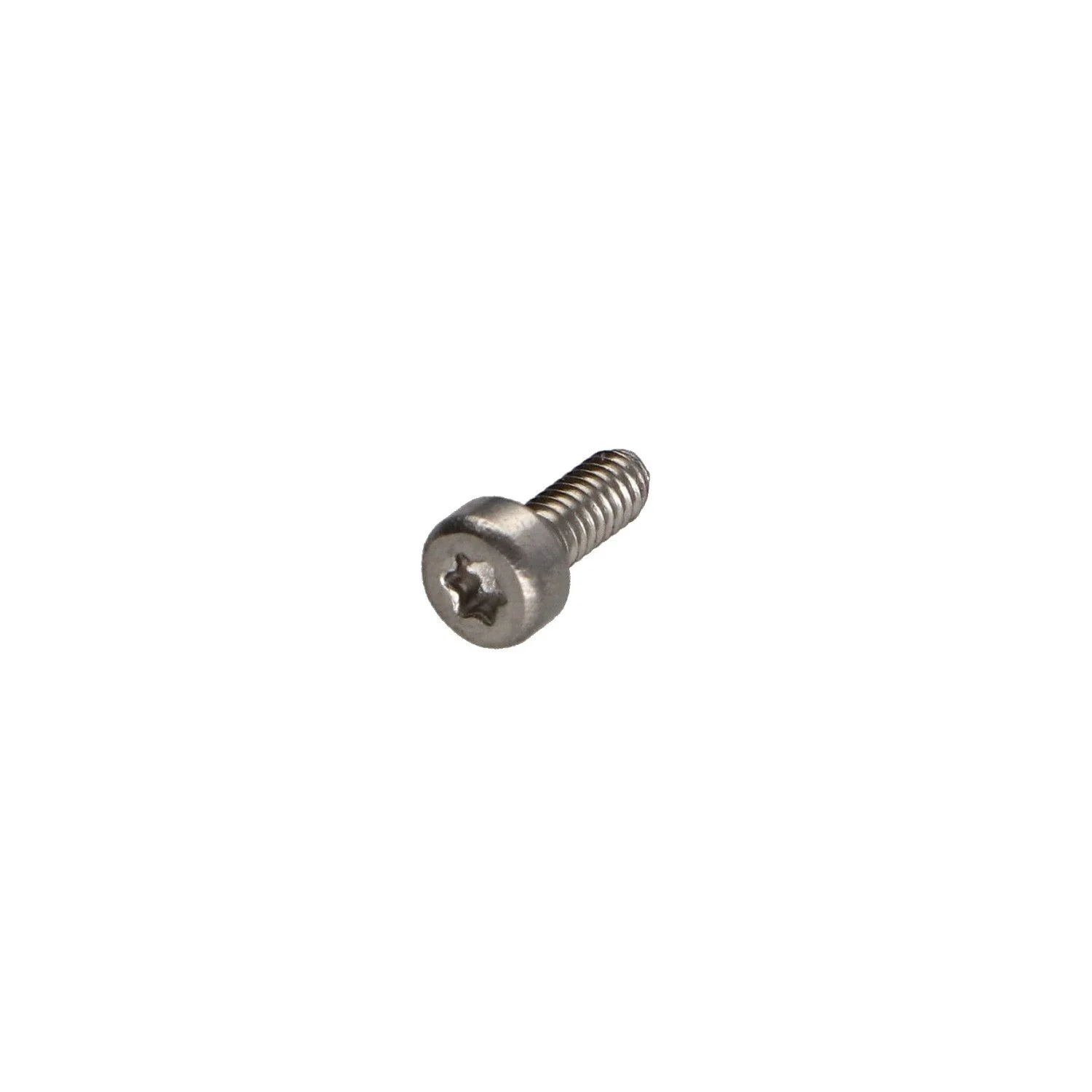 x100 KTS TORX 20 SCREWS