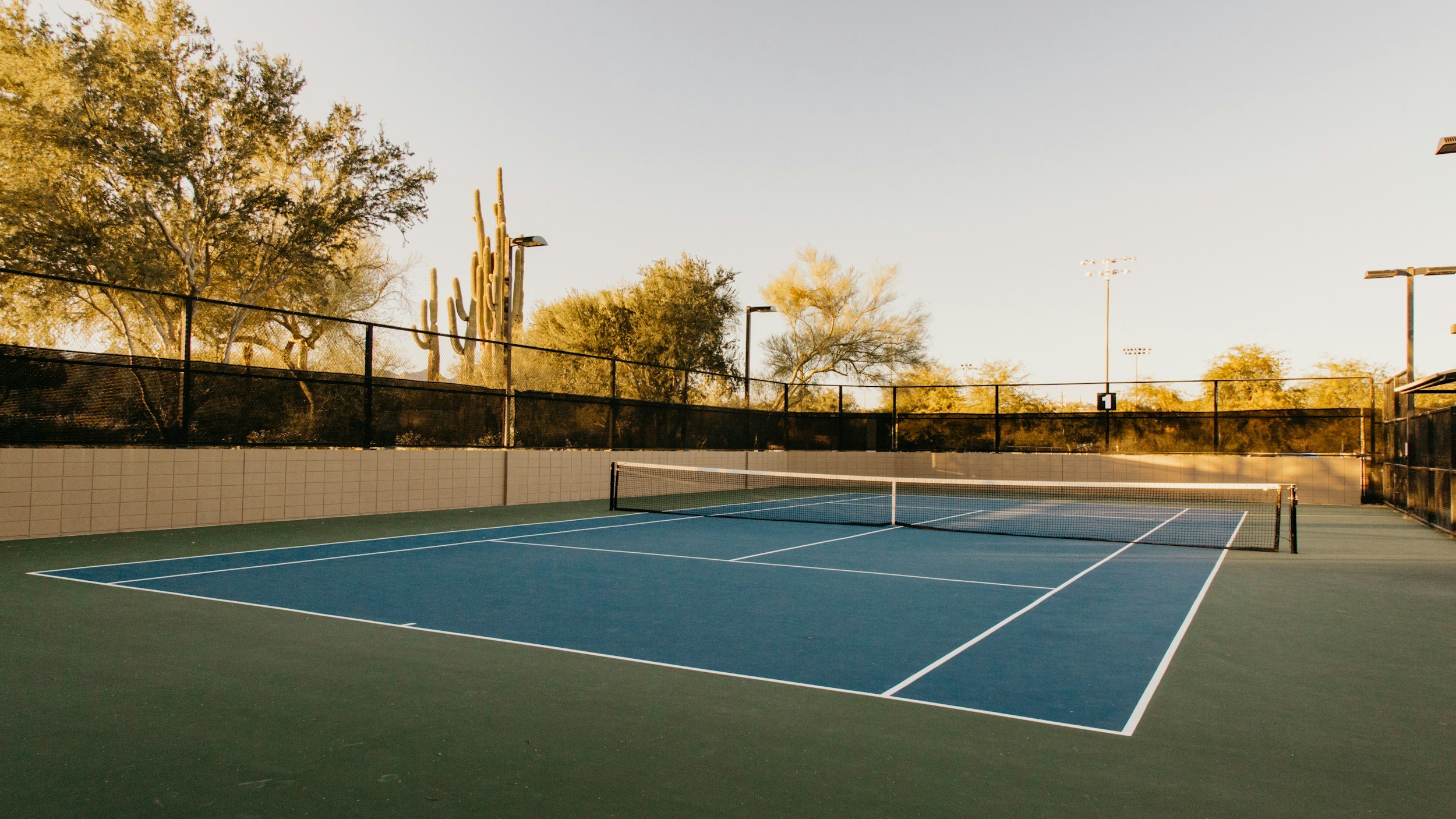 Empty blue tennis court with a net, surrounded by a black fence and desert trees, under a clear sky.