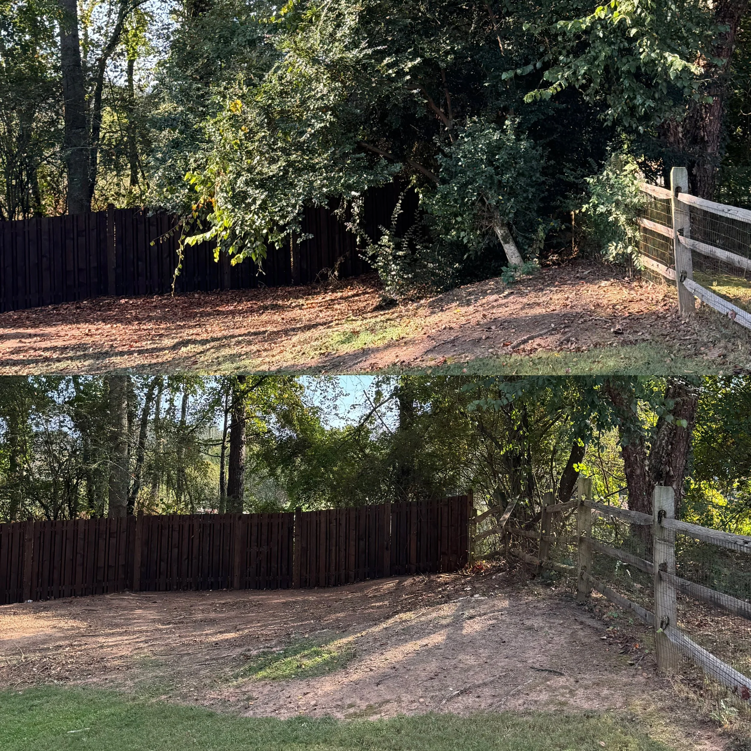 BRUSH CLEANUP