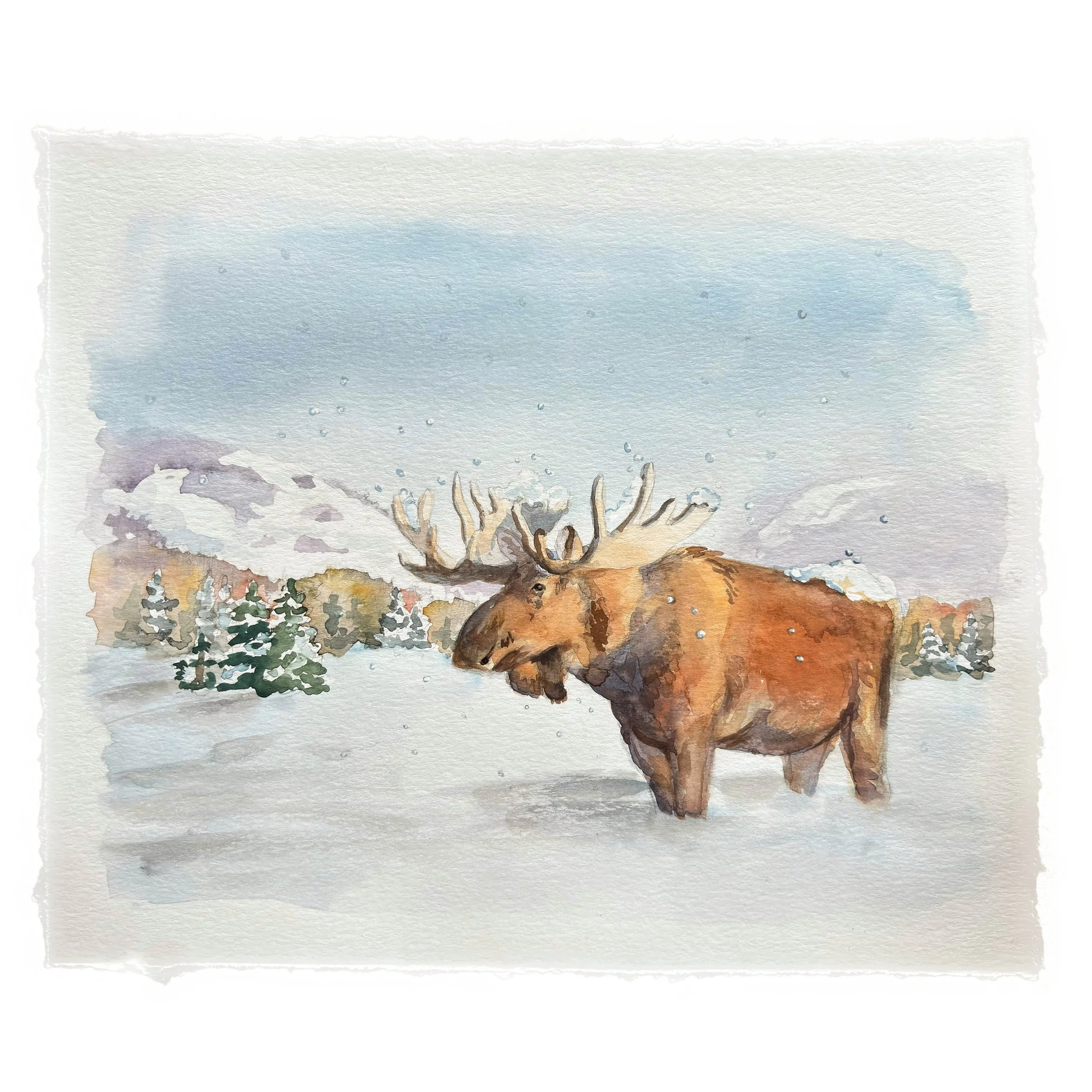 Winter in the Bighorns 10x12 Watercolor on Paper 2025