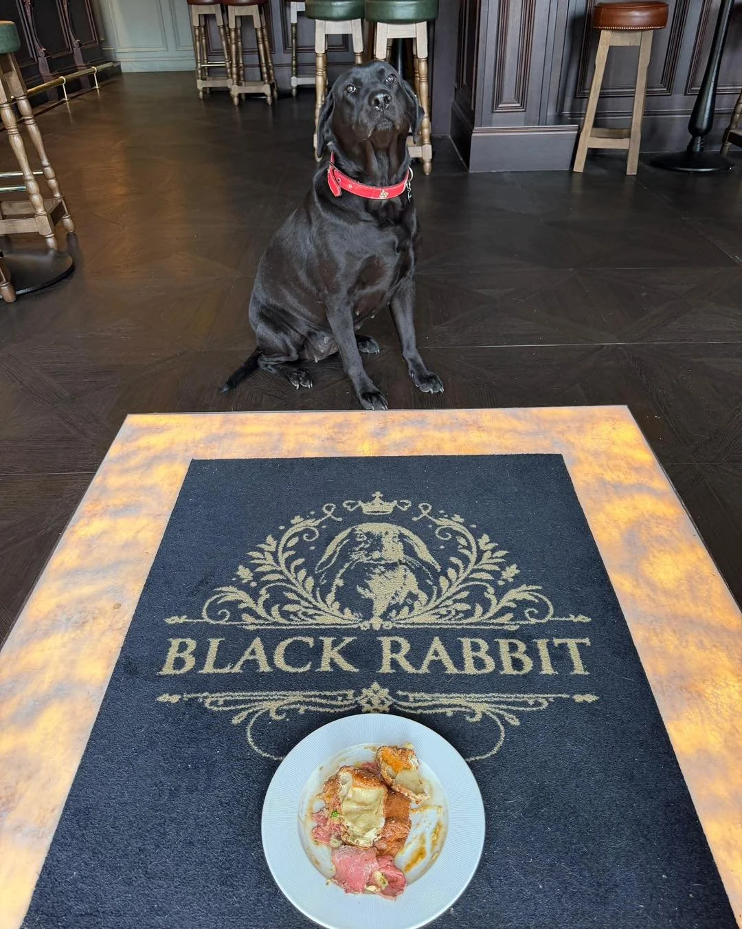 Dogs do Sundays too 🐾🤎
Four-legged friends are always welcome at The Black Rabbit.