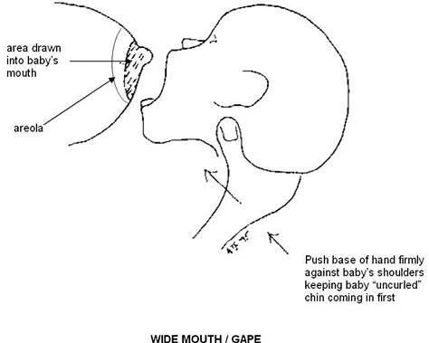 a hand-drawn diagram showing proper latching, with the parents hand supporting baby's shoulders, baby's head tilting back to allow their mouth to gape and coming towards the breast chin first.