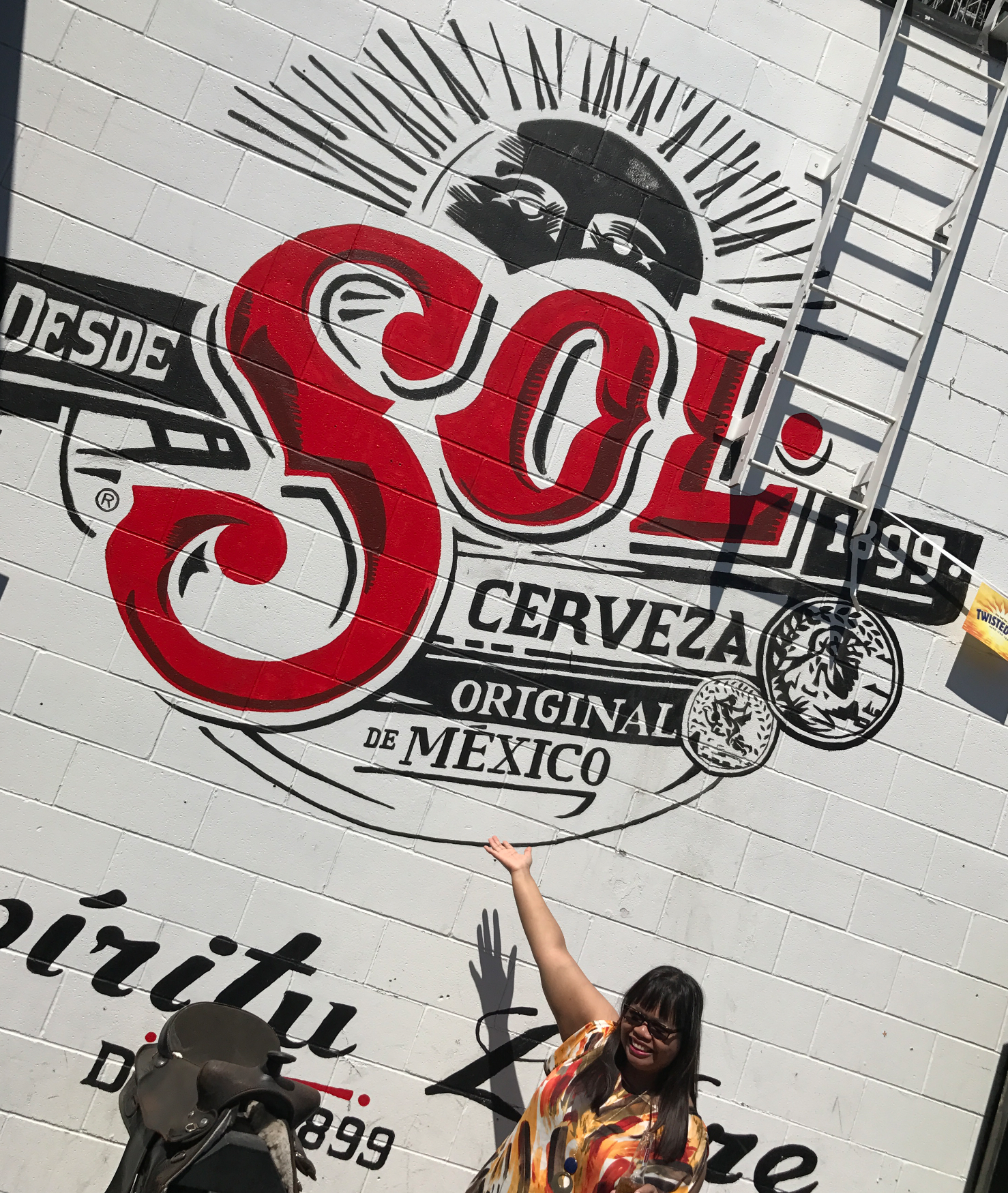 Wall mural for Sol X Knoxville's