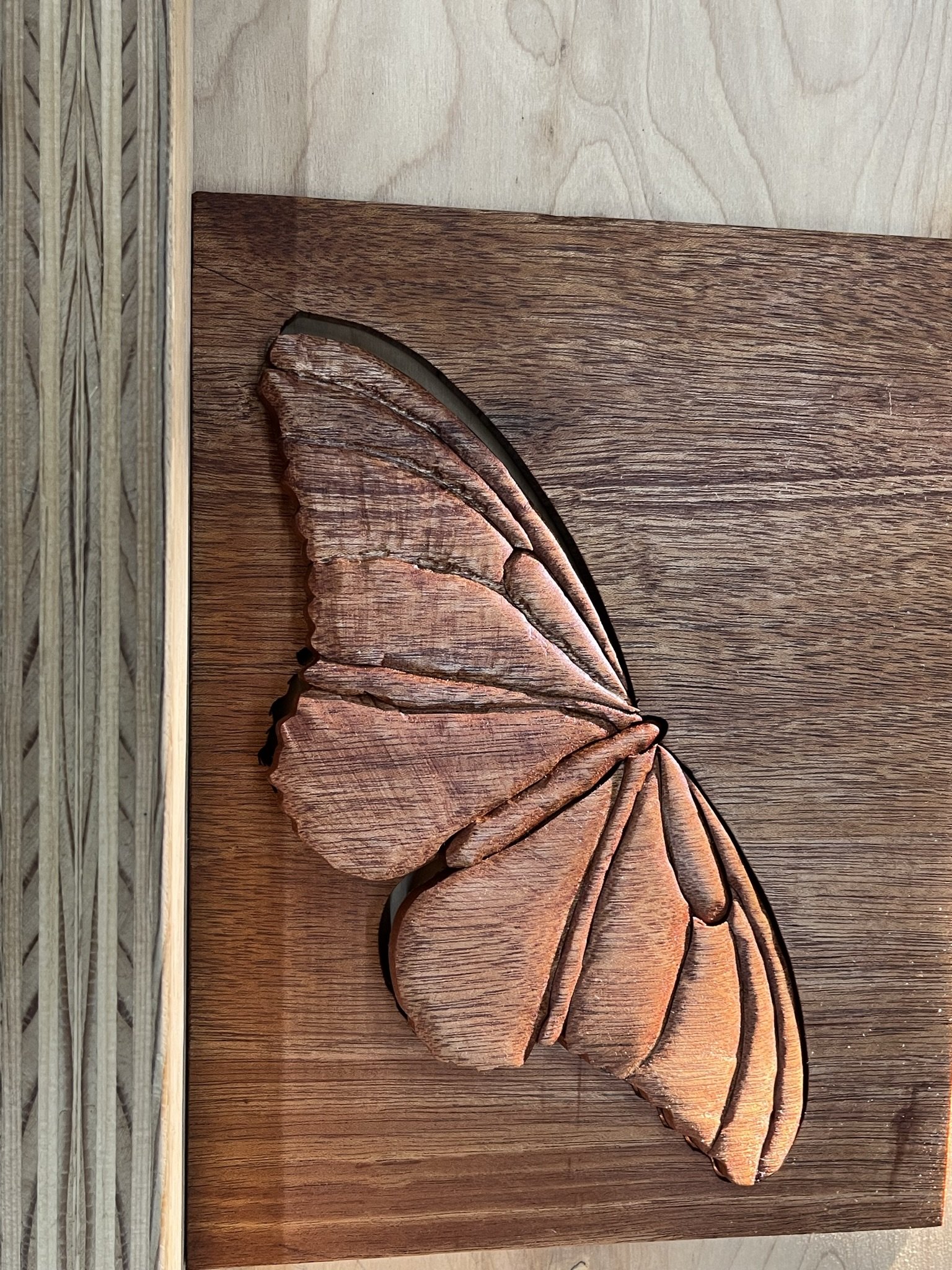 Escape of the Mahogany Moth