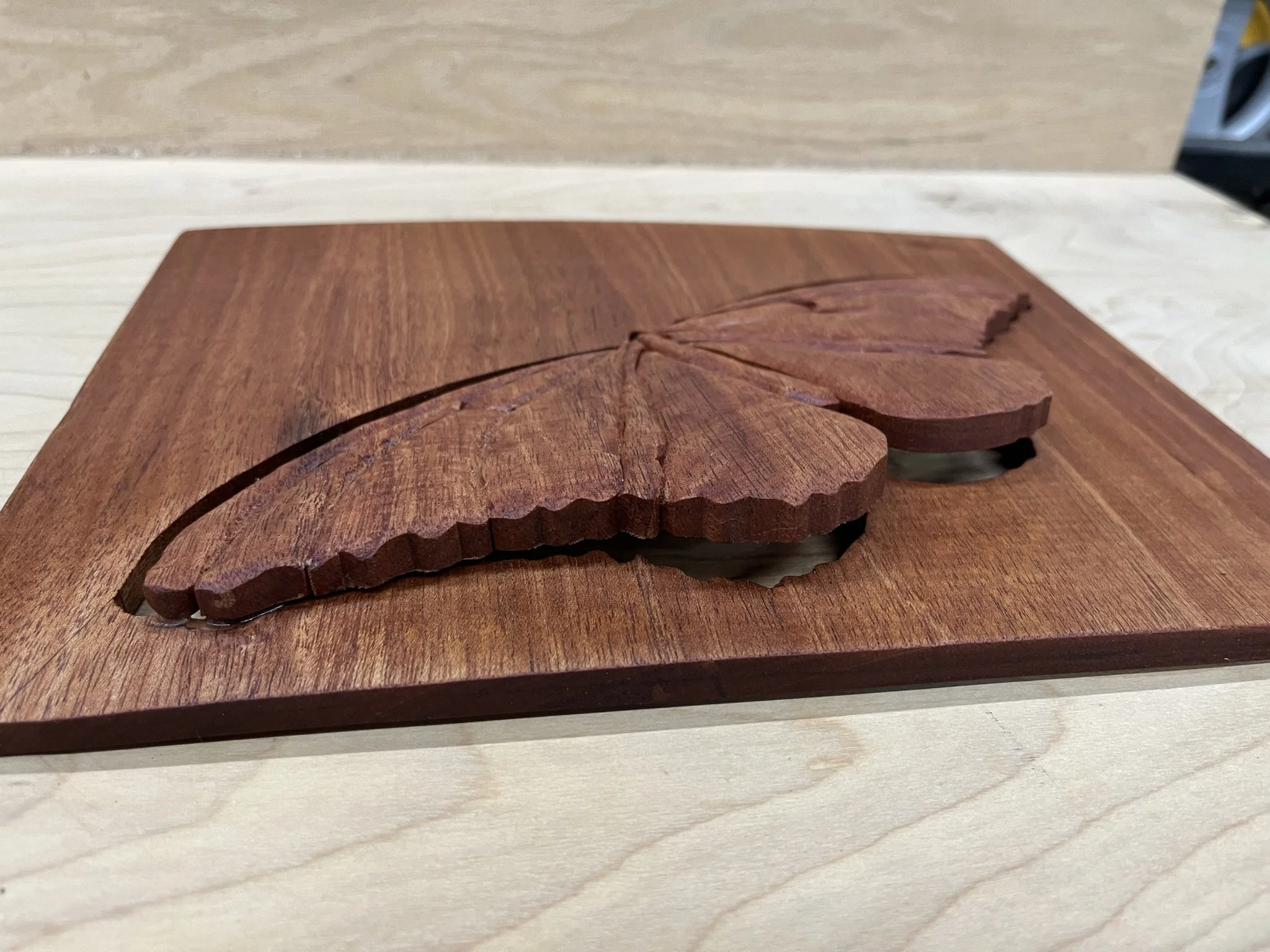 Escape of the Mahogany Moth