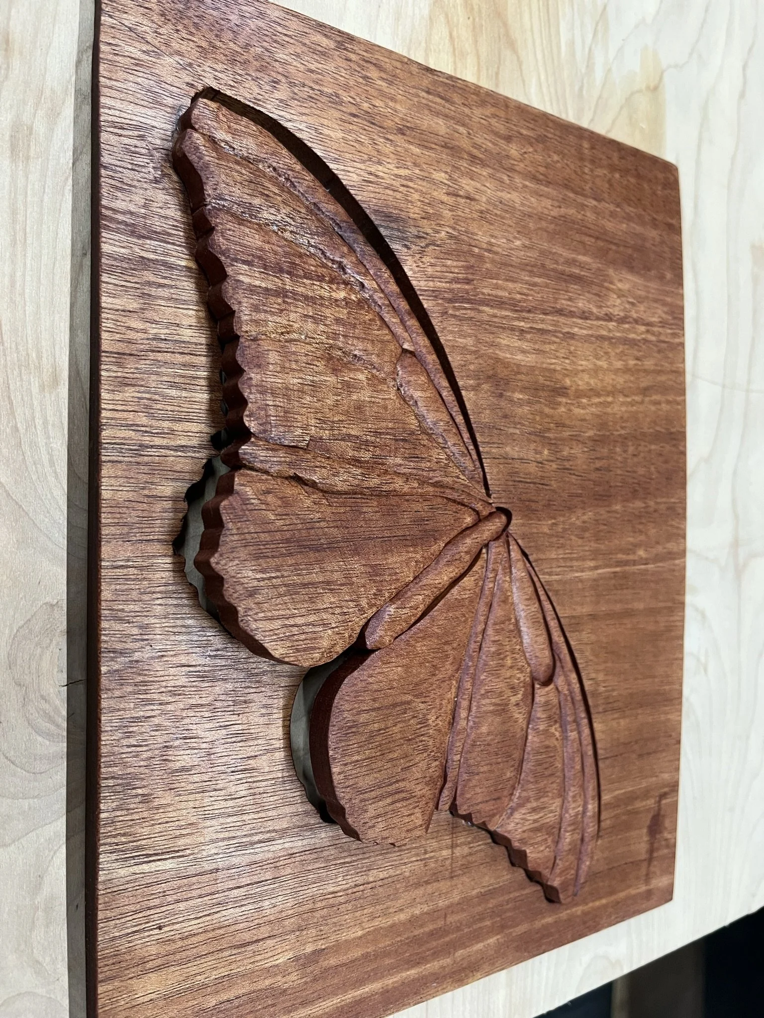 Escape of the Mahogany Moth