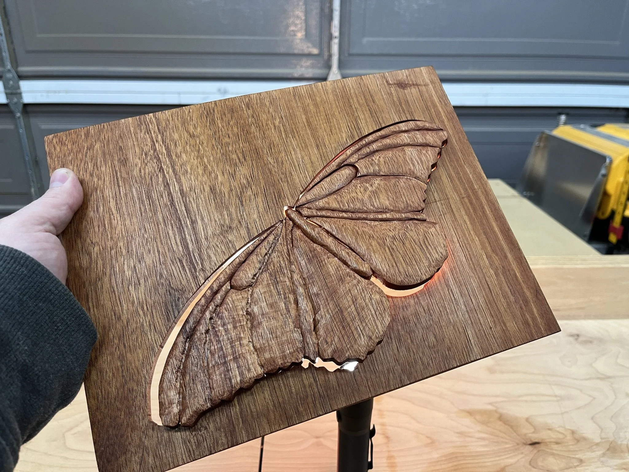 Escape of the Mahogany Moth