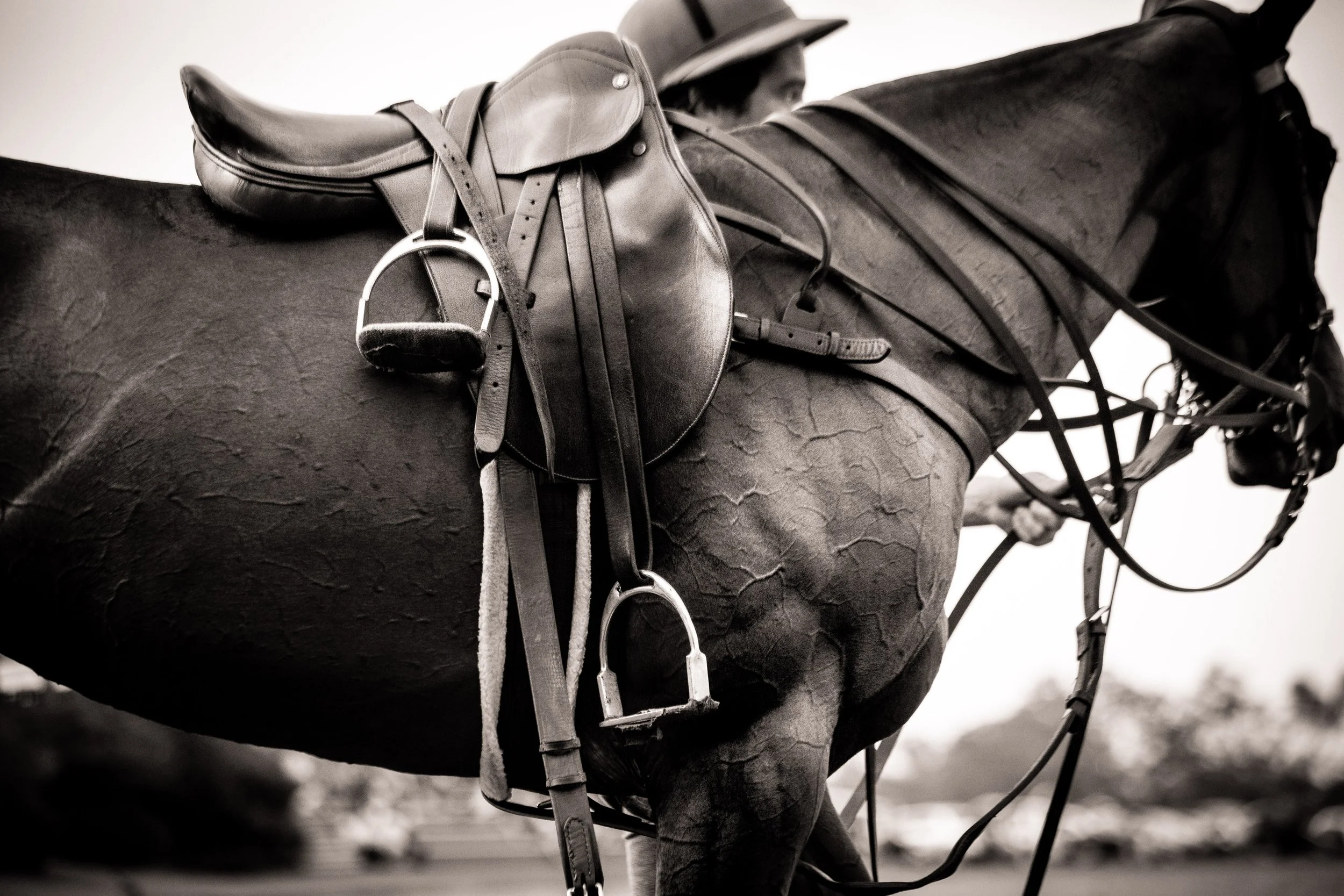 Close-up of a horse's saddle with riding gear hanging on its side, black and white photograph.