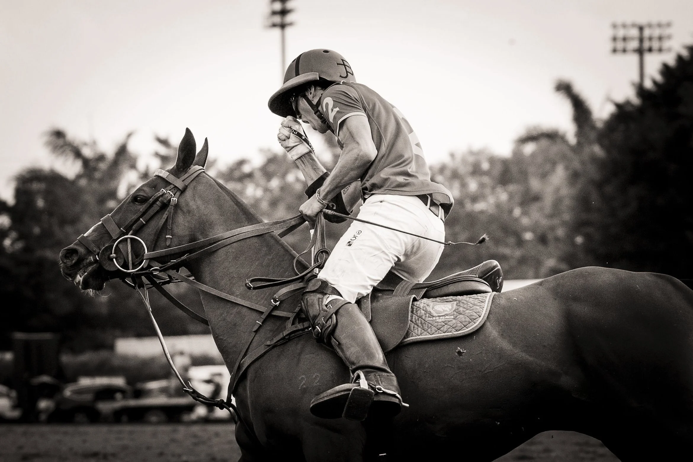 A jockey in riding gear and helmet riding a horse, with a forested background and open sky.