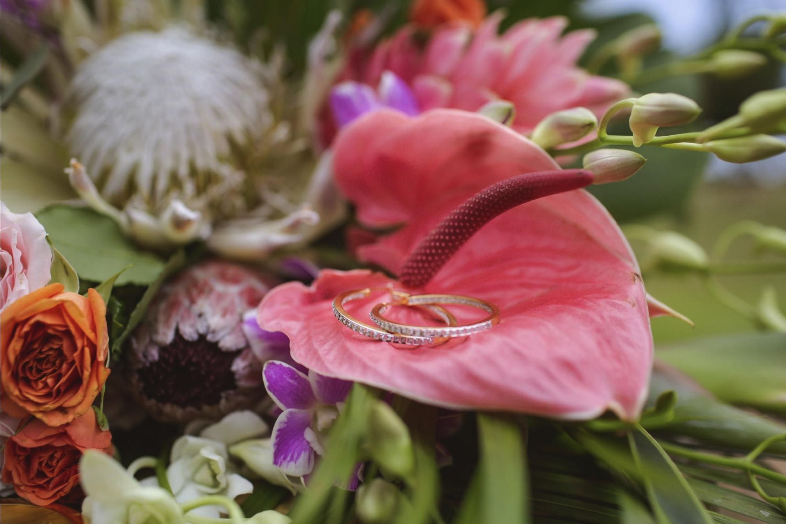 Close-up of colorful flowers with two rings placed on a pink flower