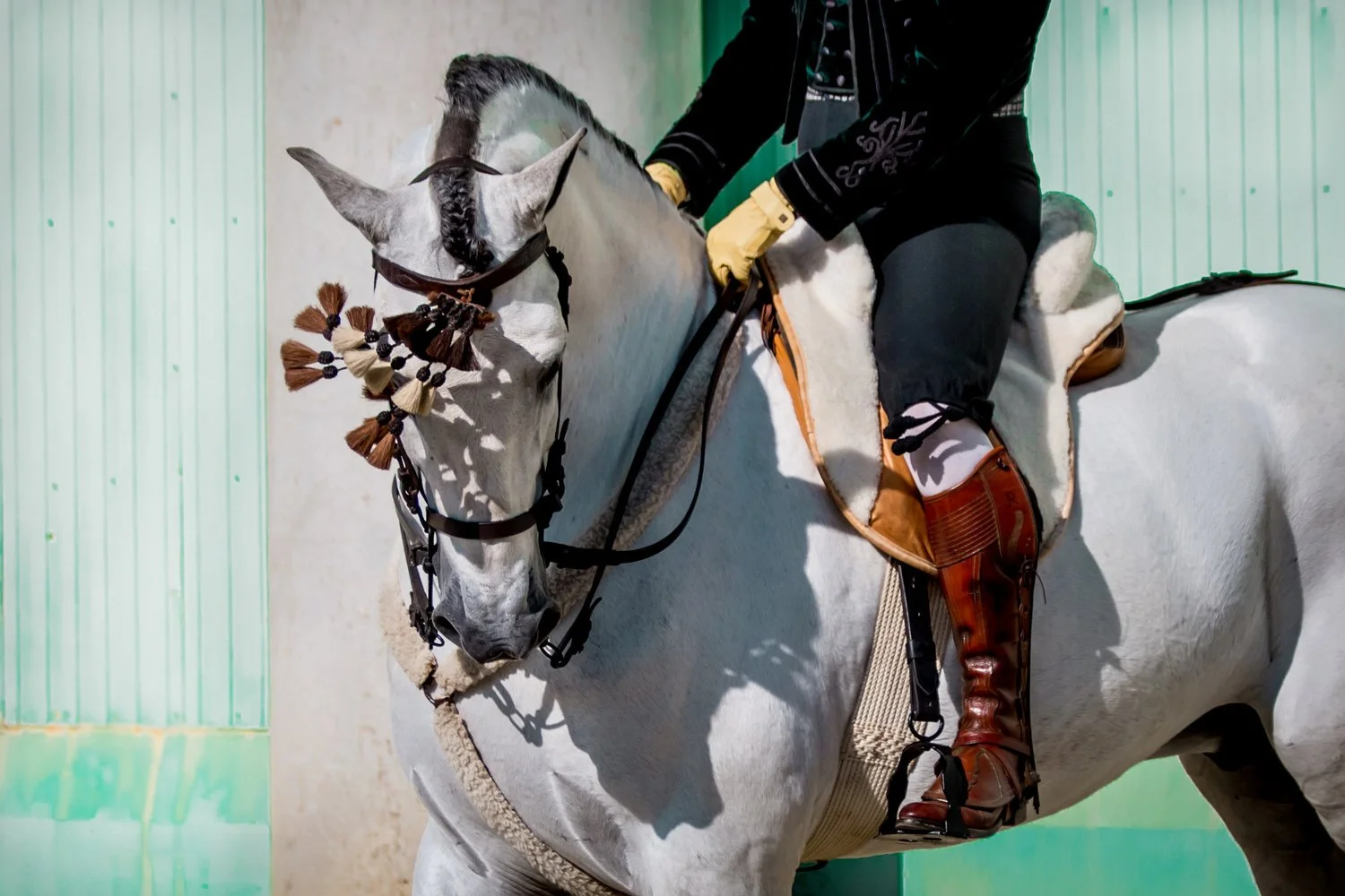 A person riding a white horse in an indoor riding arena. The horse has tassels on its bridle and is equipped with a saddle and stirrups. The person is wearing black riding attire and brown riding boots.