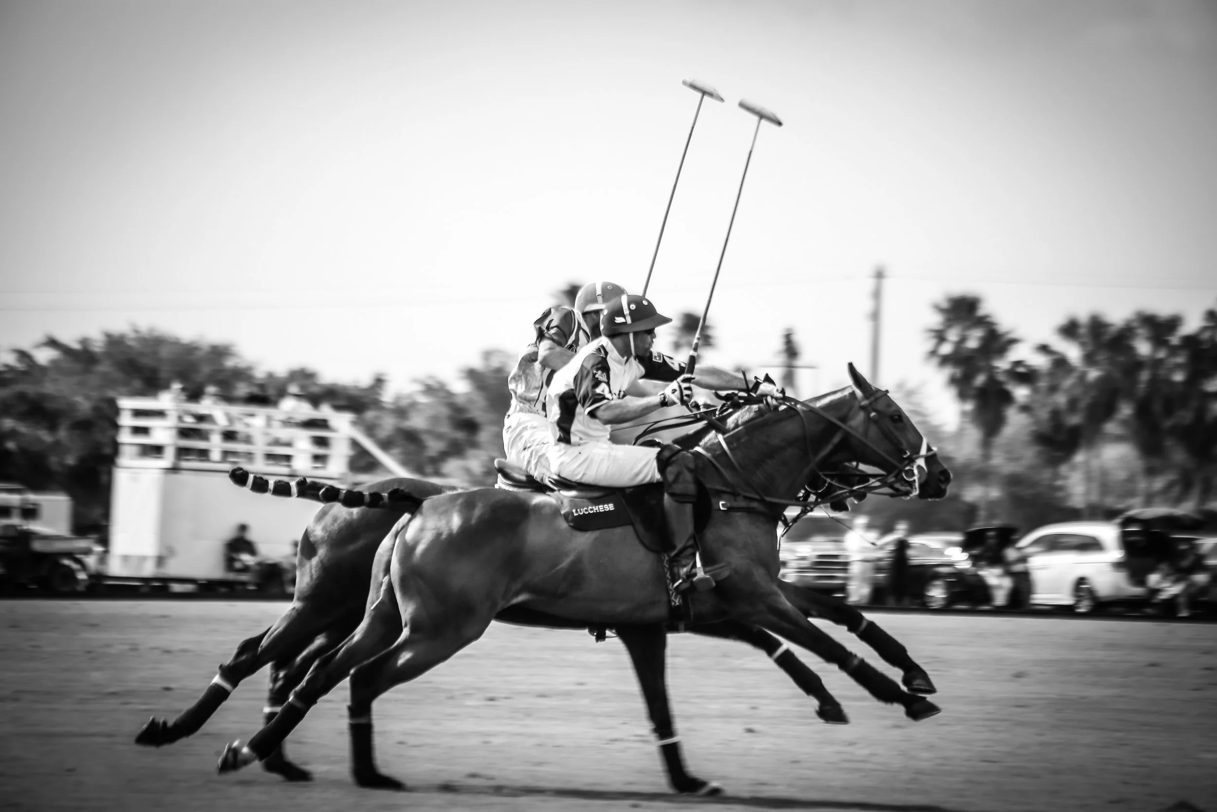 Jockeys riding racehorses during a race on a dirt track, with blurred background of trees and vehicles.