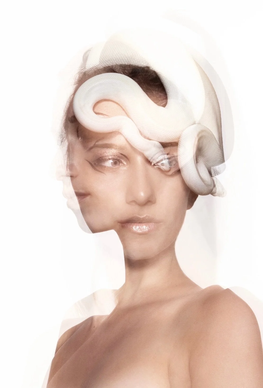 ArtSarahSteck_5.jpg