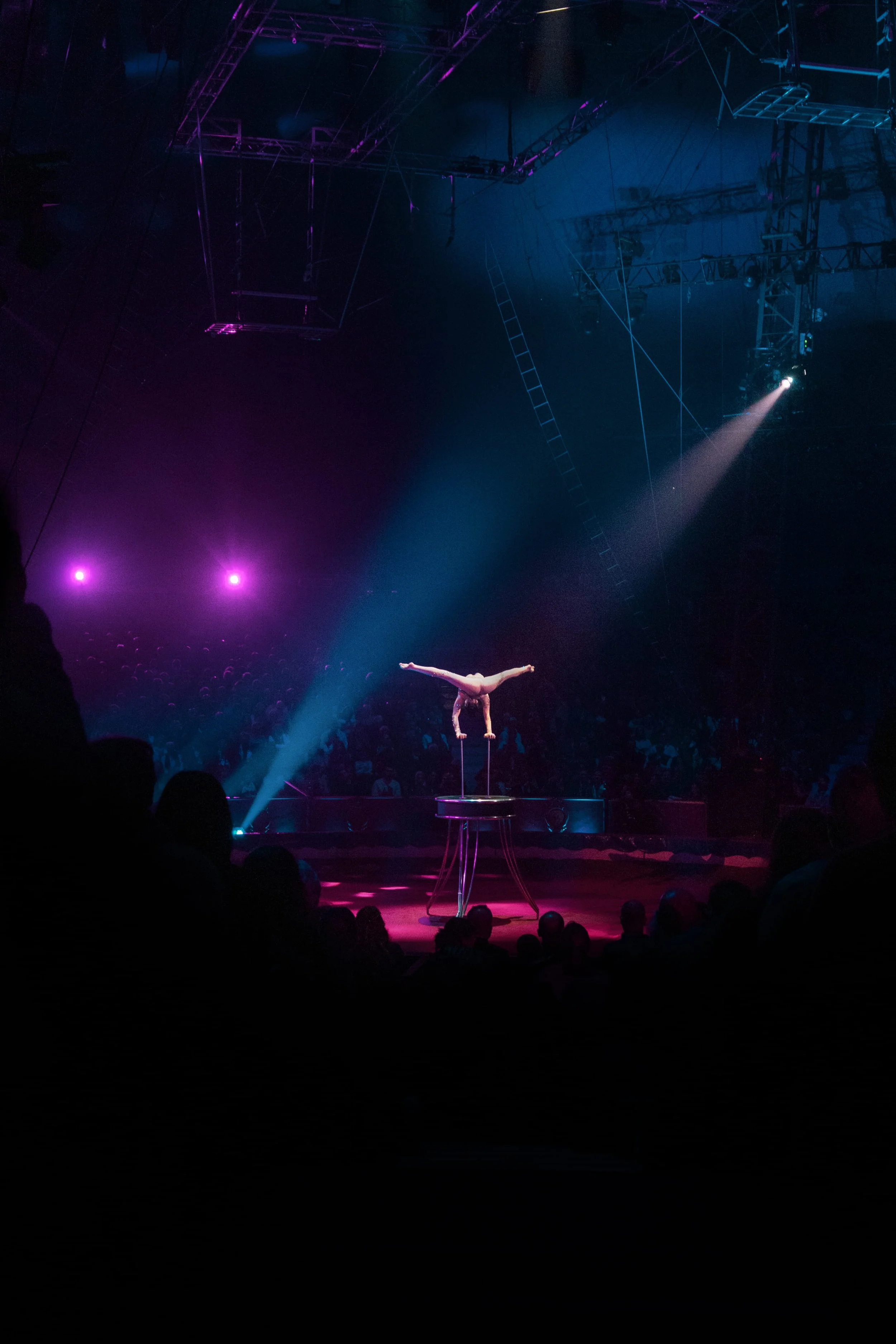 FestivalMonteCarlo2026_7.jpg