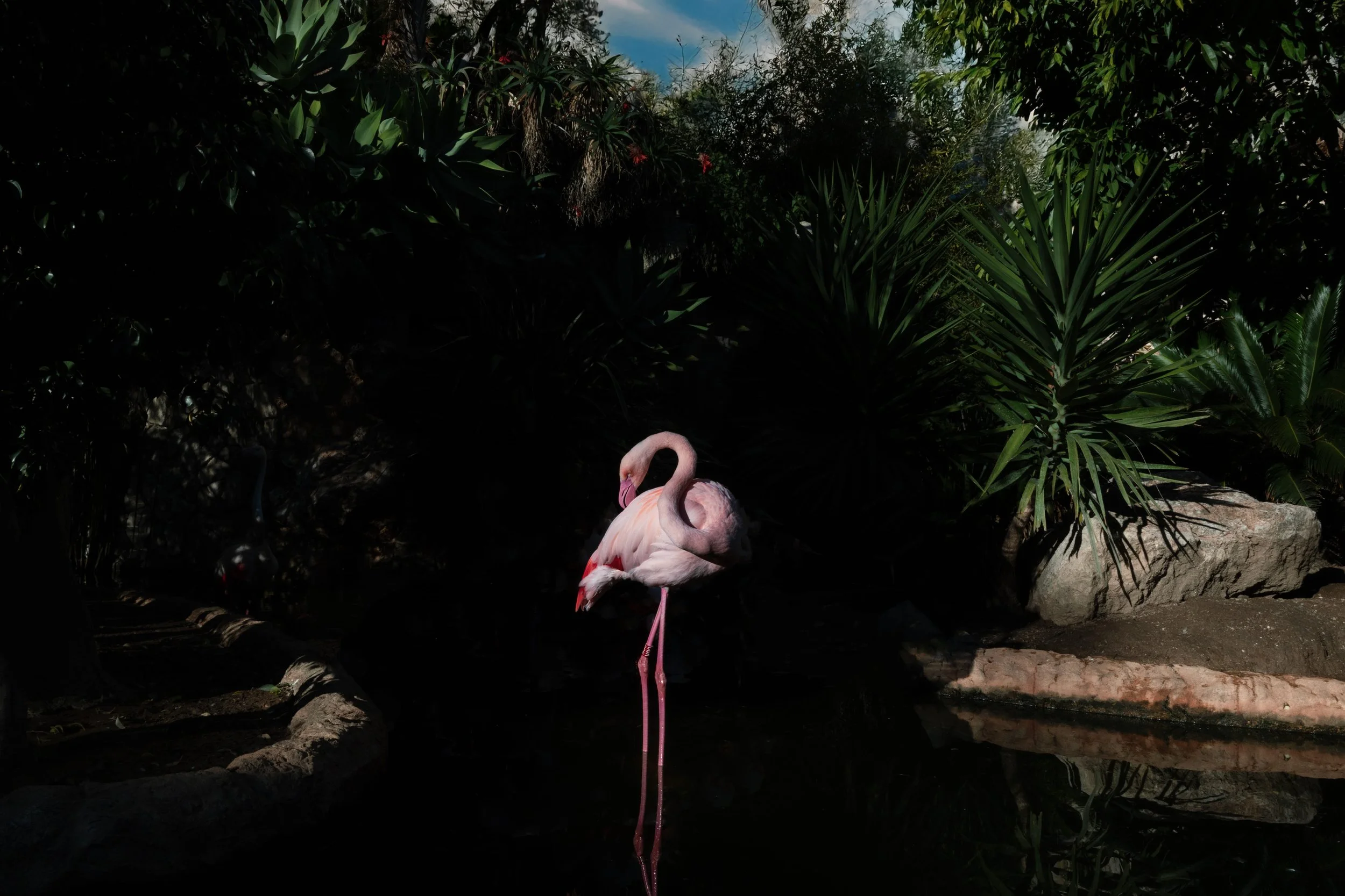 SS-Jardin animalier_35.jpg