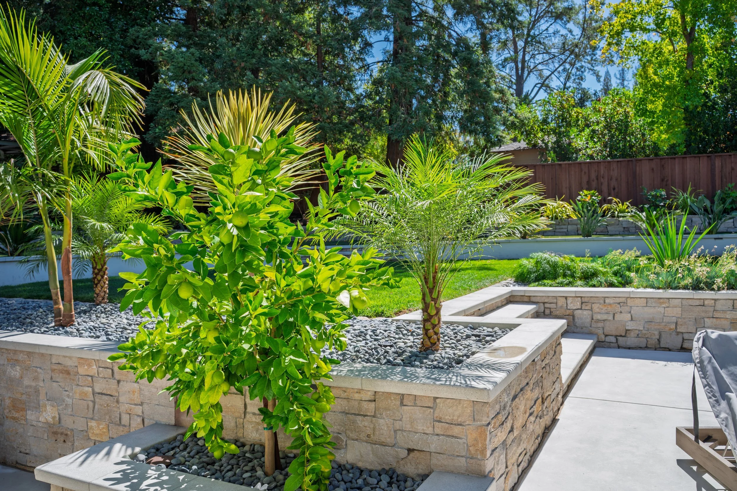 gh-stone-planters-lime-tree.jpg