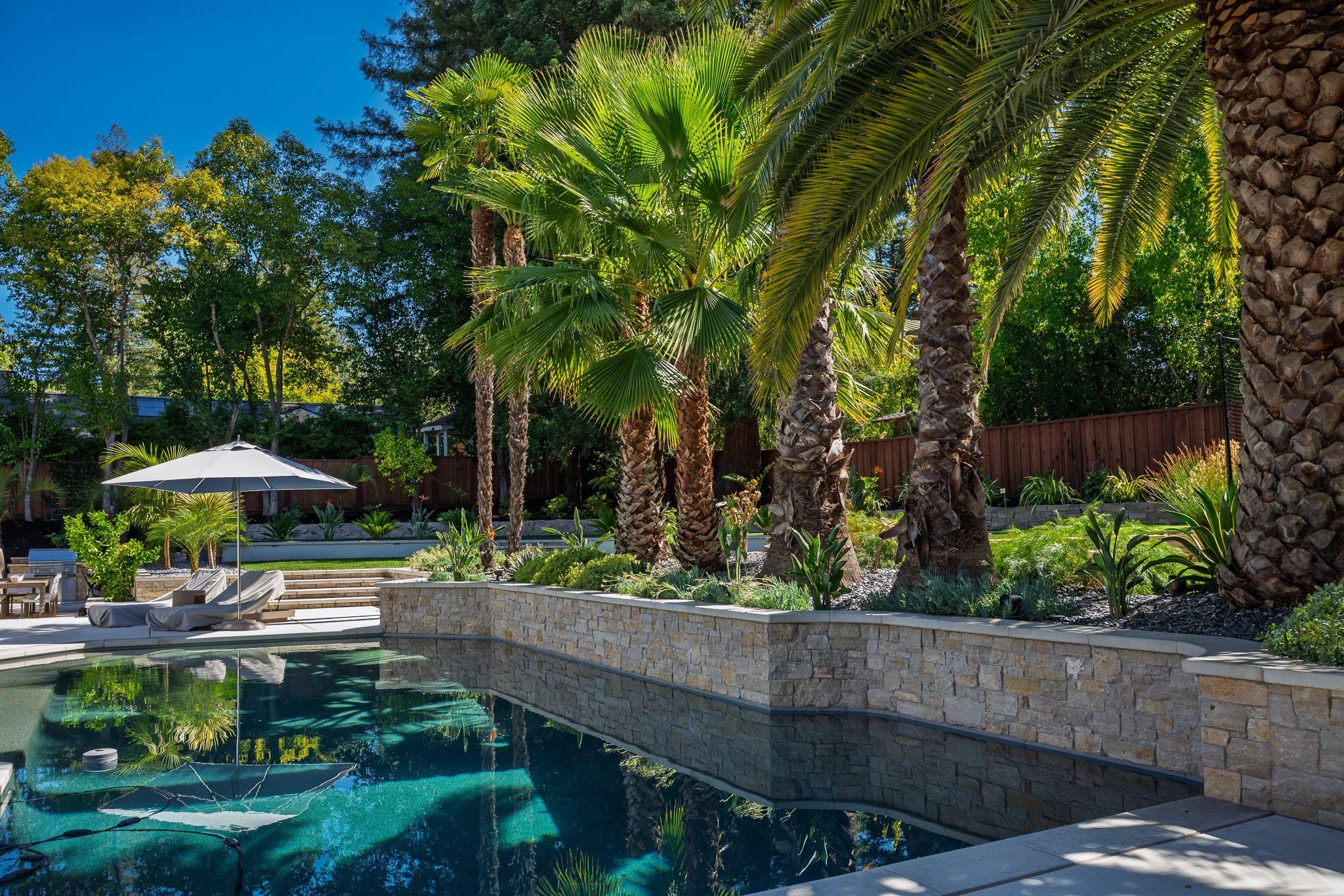 Backyard pool with stacked-stone retaining wall and mature palms, Bay Area landscape by G&H Landscaping